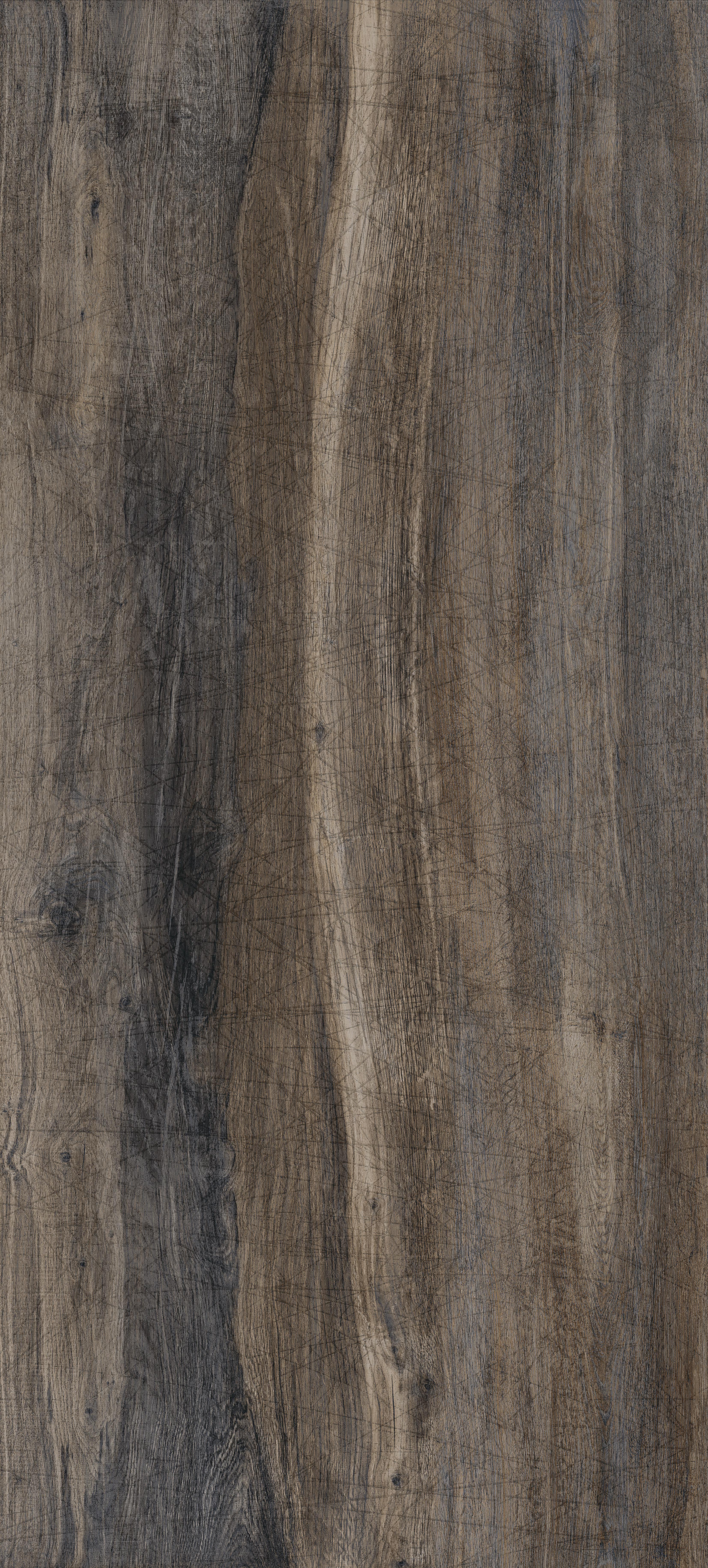 Untamed 48x110 Matte Porcelain Tile in Drift Plank