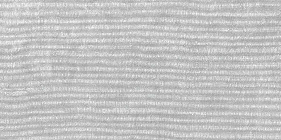 Plaza Mist 12x24 Matte