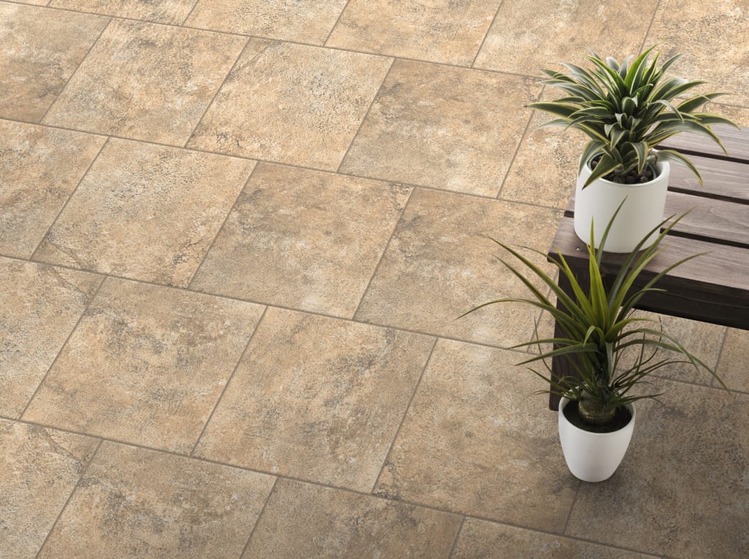 Fossili Noce 12x12 Matte
