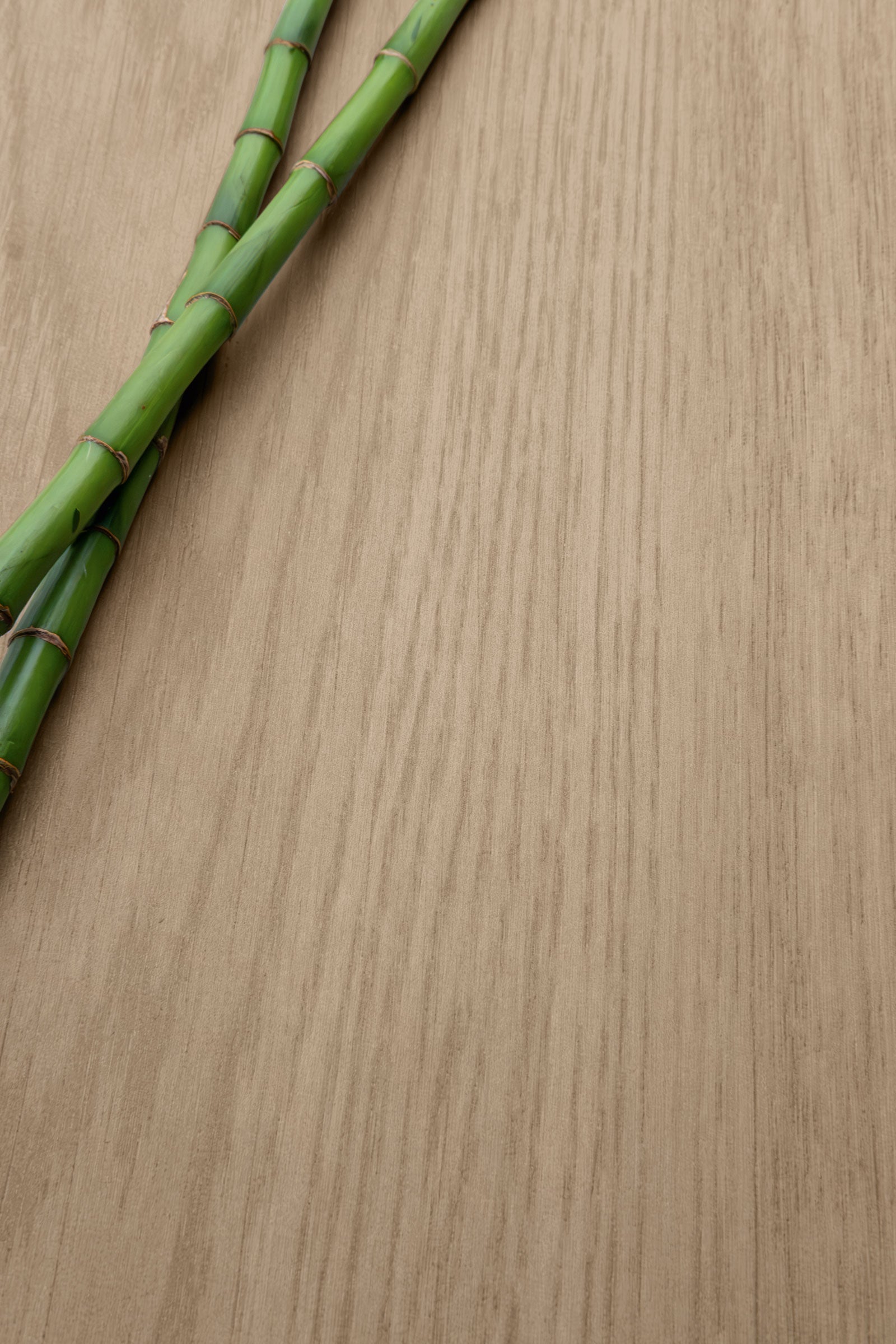 Calissa Plank™ 12x70 Matte Porcelain Tile in Urban Walnut