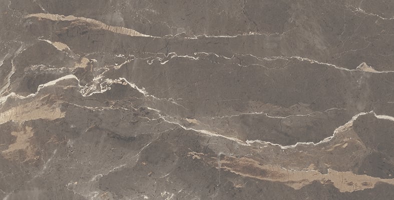 Absolute 12x24 Matte Porcelain Tile in Brown – MILE®stone