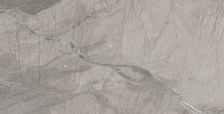 Absolute 12x24 Matte Porcelain Tile in Dark Grey – MILE®stone