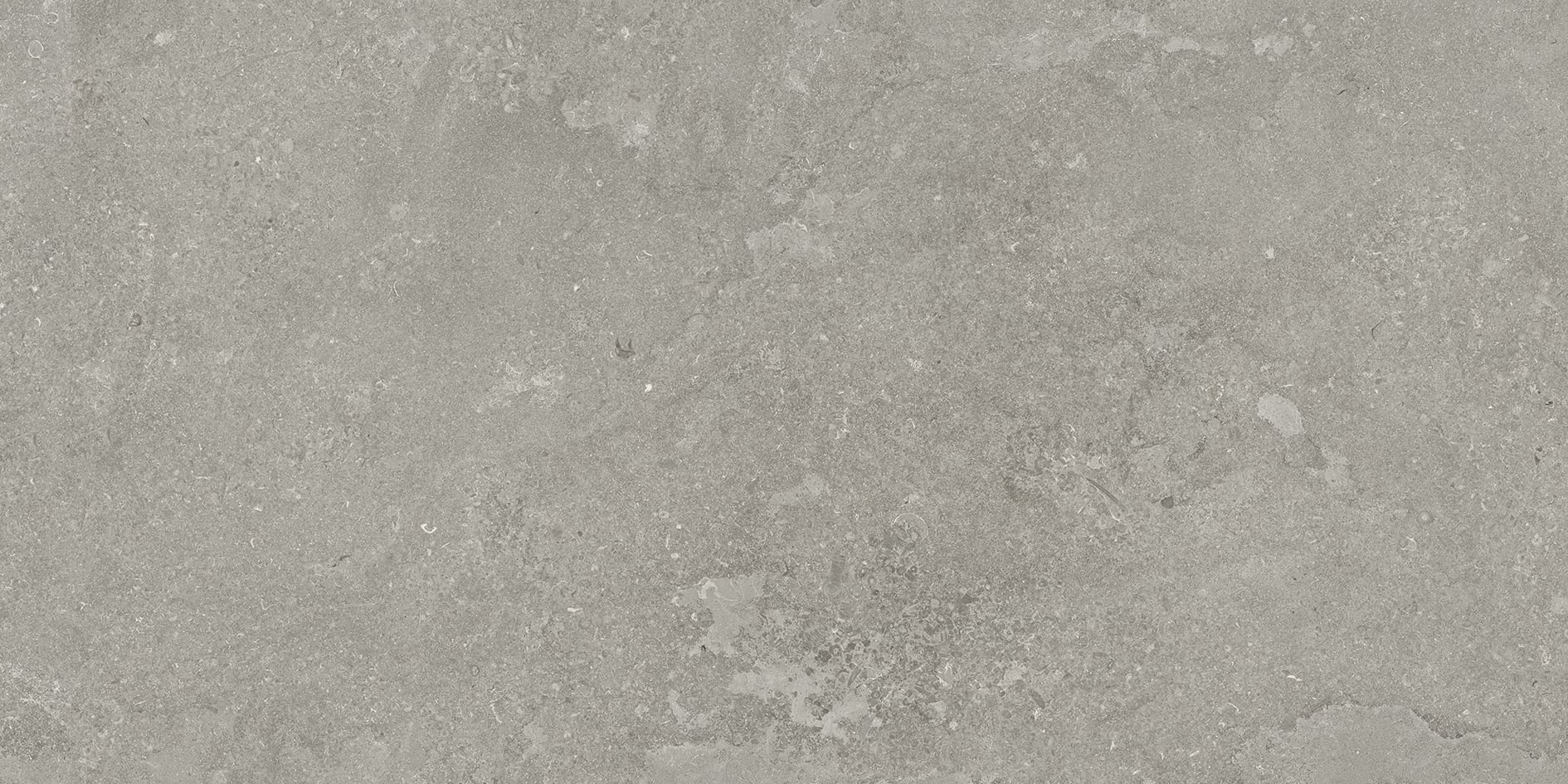 EcoStone 24x48 Grip Porcelain Tile in Cross-Cut Fossil