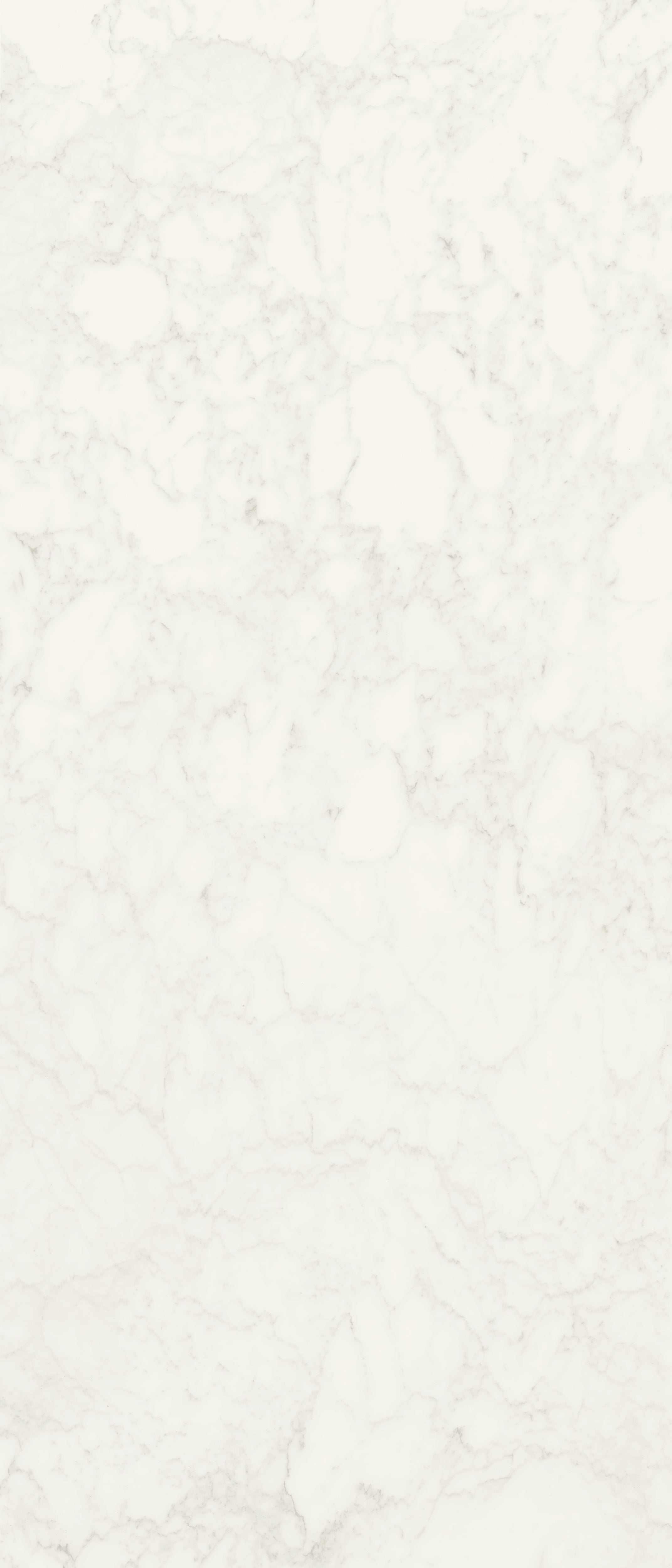 JEM 48x110 Polished Porcelain Tile in Adagio White