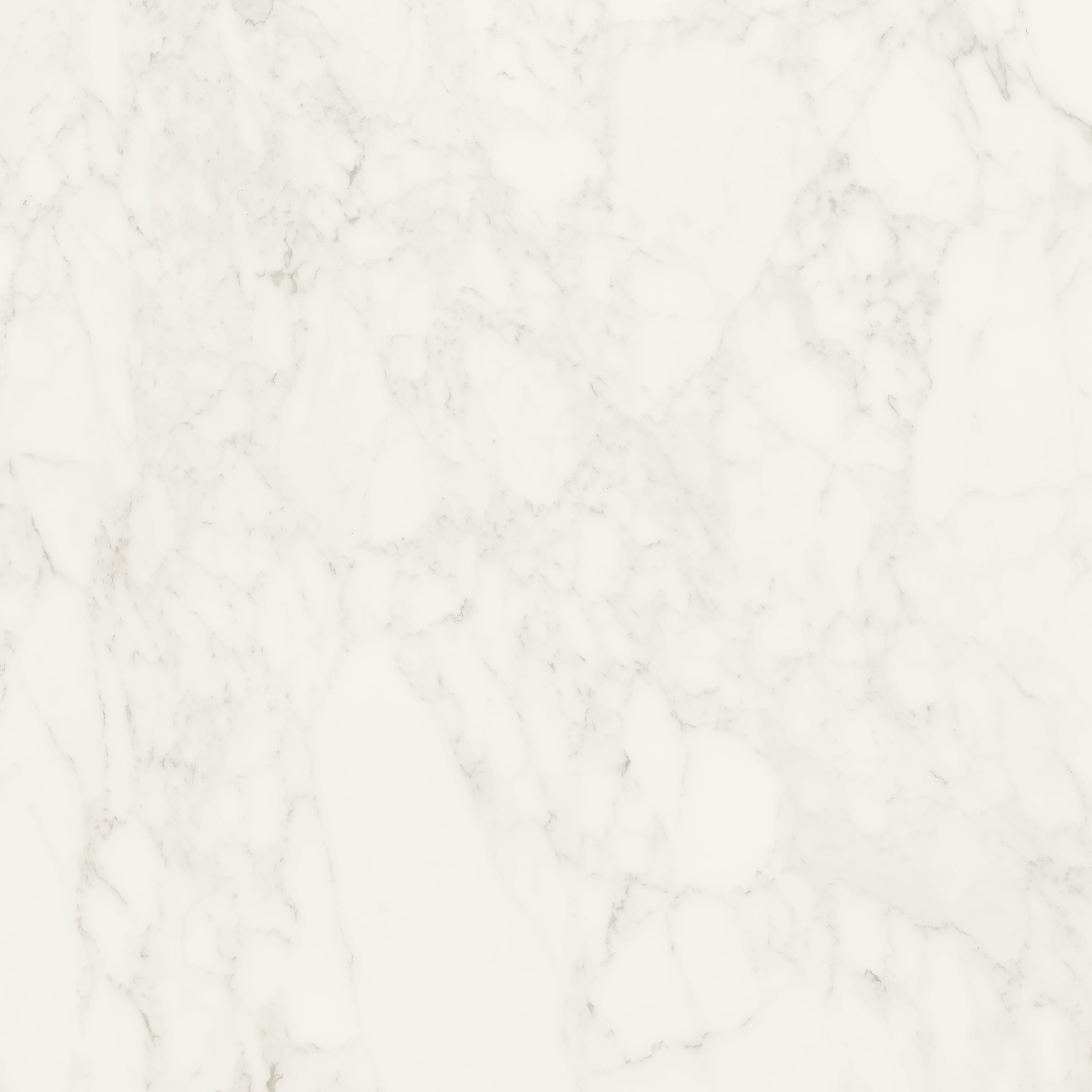 JEM 48x48 Matte Porcelain Tile in Adagio White