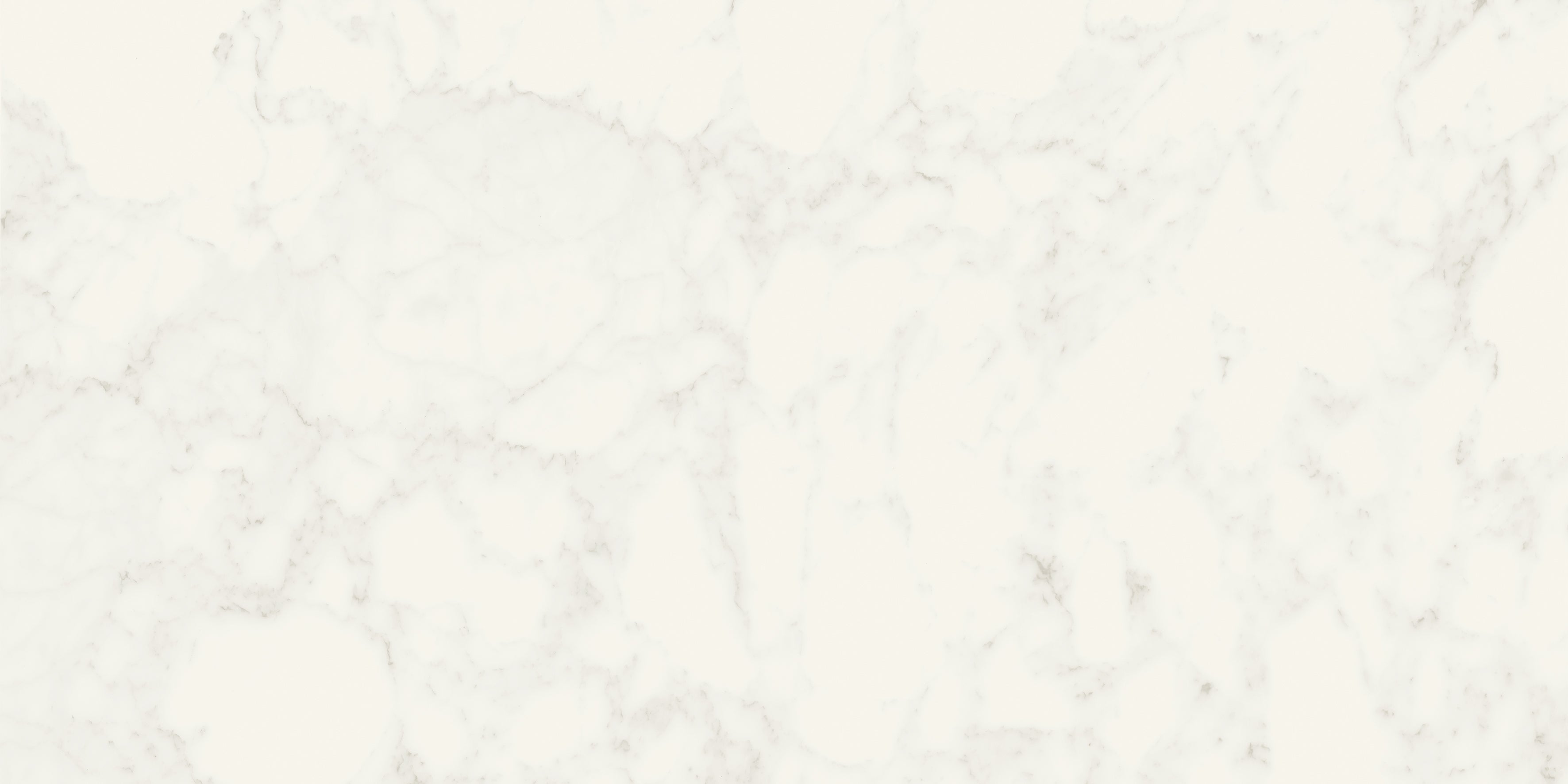 JEM 24x48 Matte Porcelain Tile in Adagio White – MILE®stone