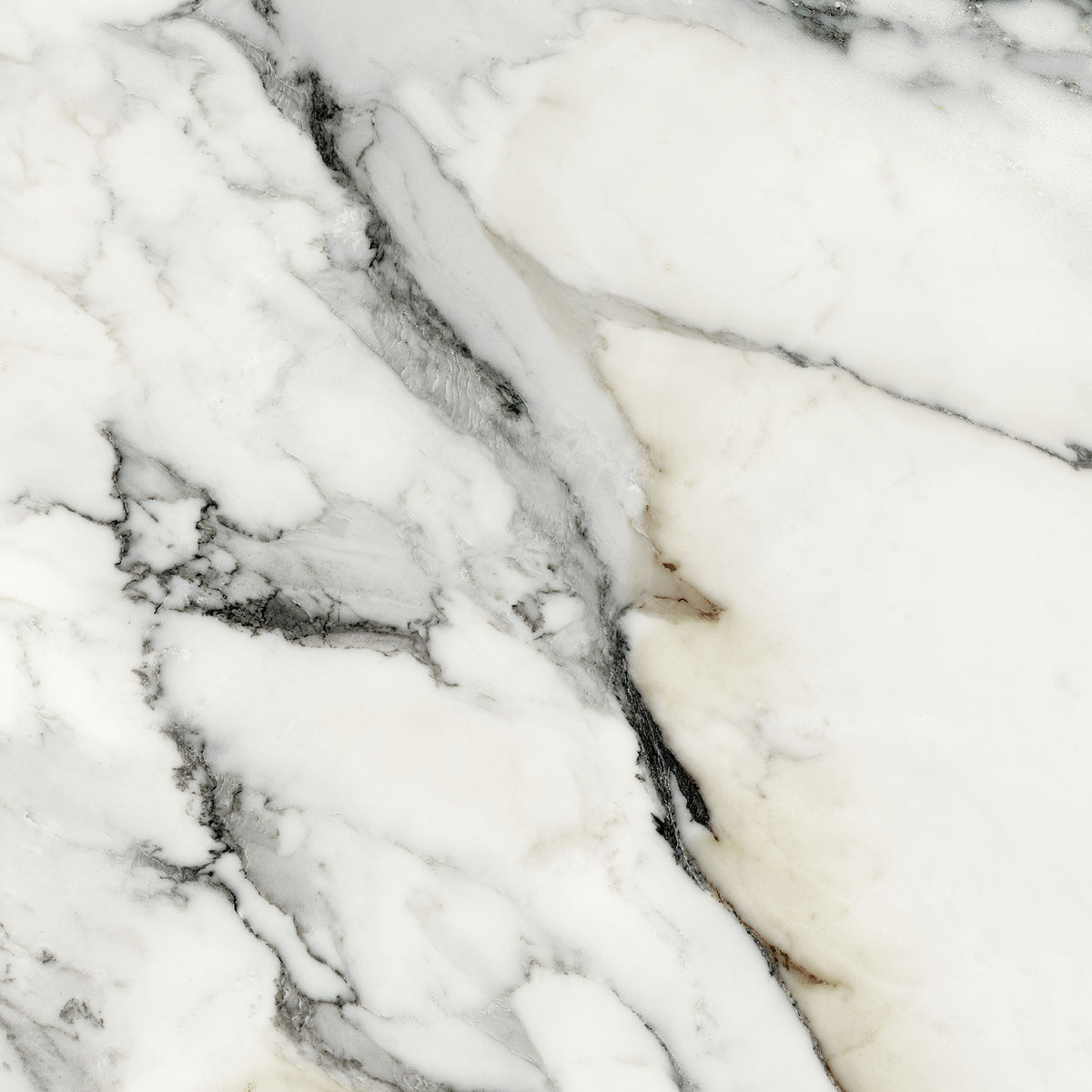 JEM 24x24 Matte Porcelain Tile in Crescendo Blue (Online Only)