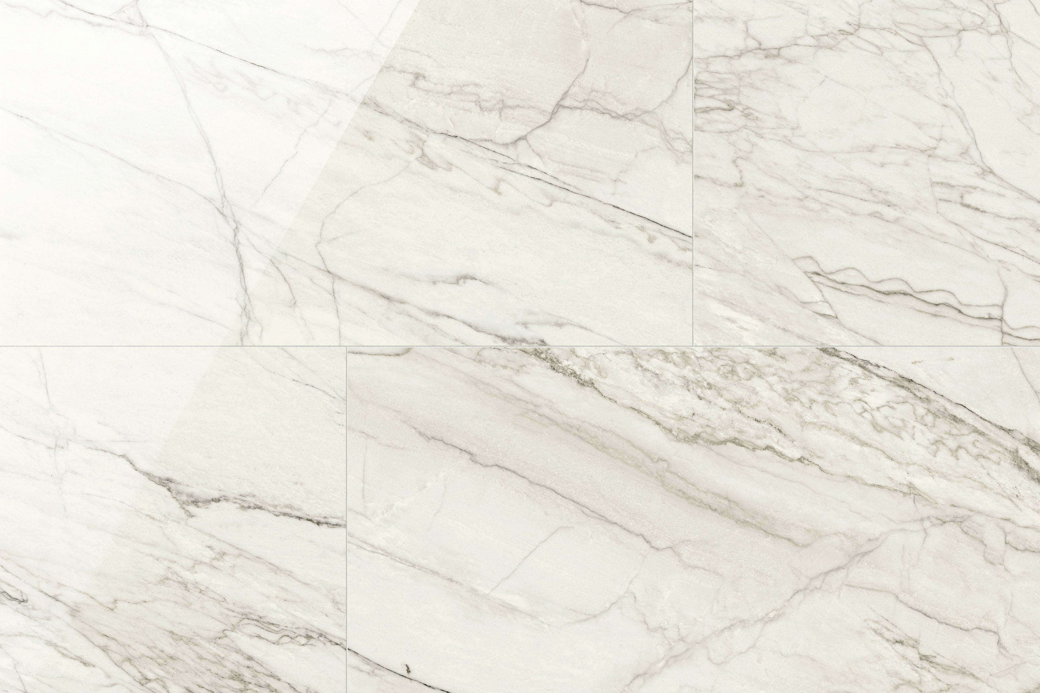 JEM 24x48 Polished Porcelain Tile in Forte White