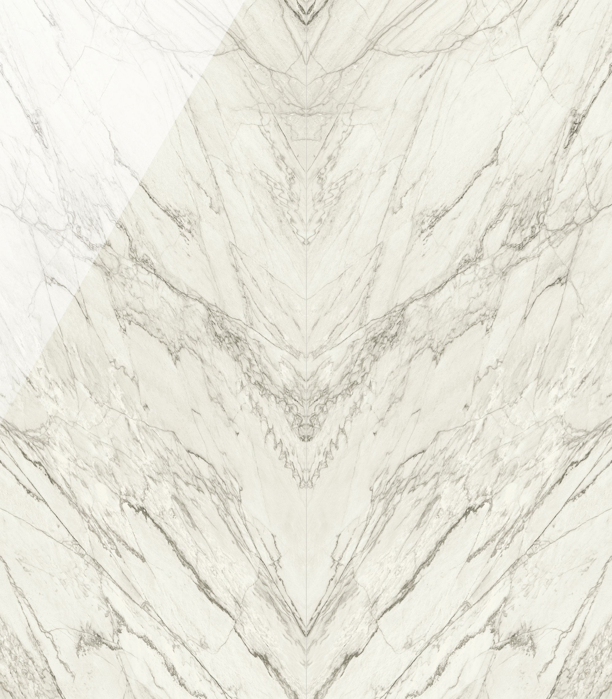 JEM 48x110 Polished Porcelain Tile in Forte White Bookmatch B