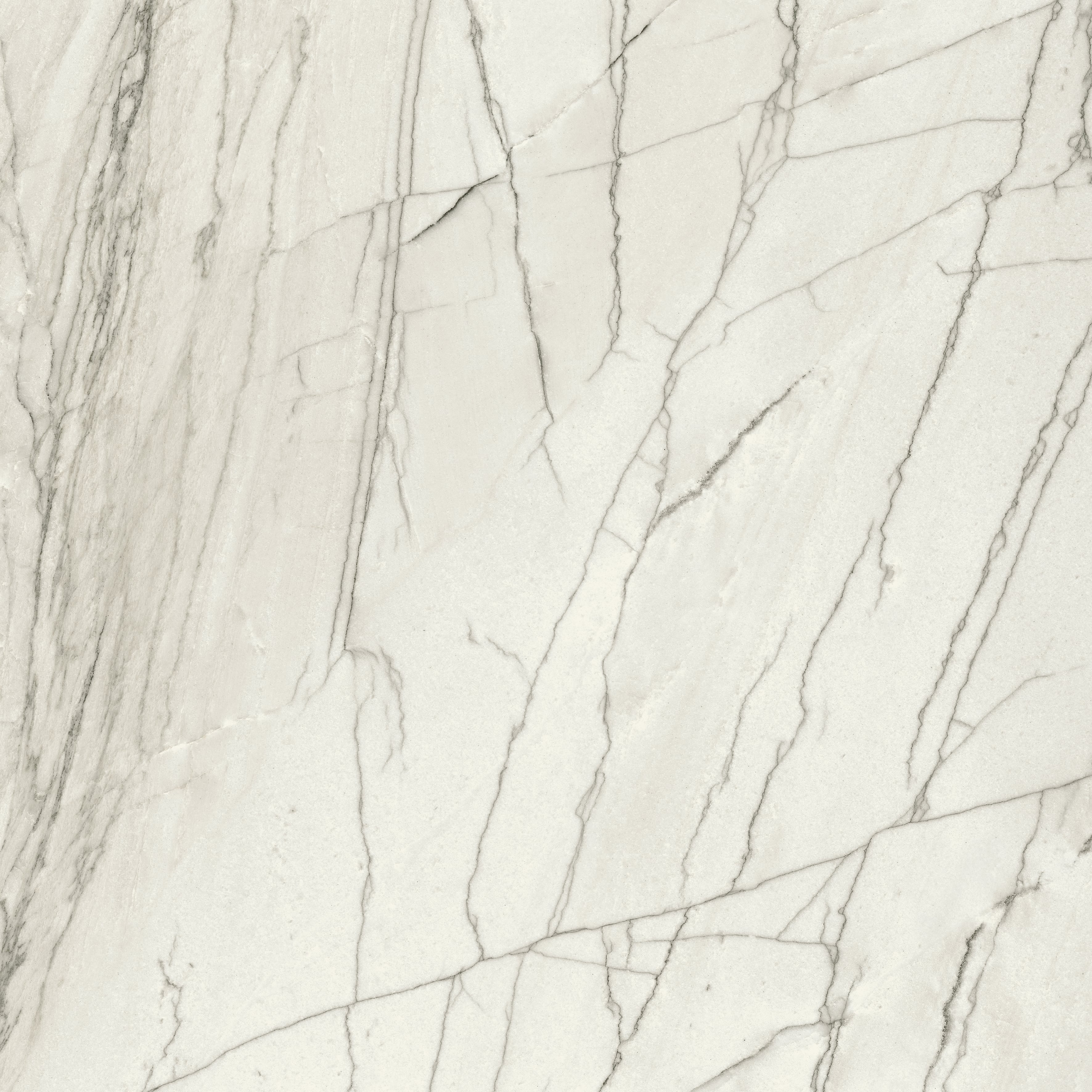 JEM 48x48 Matte Porcelain Tile in Forte White