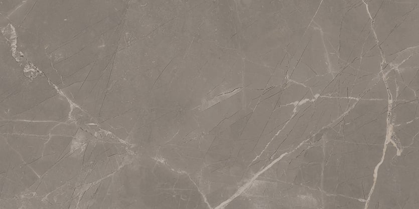 Luxury 12x24 Matte Porcelain Tile in Amani Grey – MILE®stone