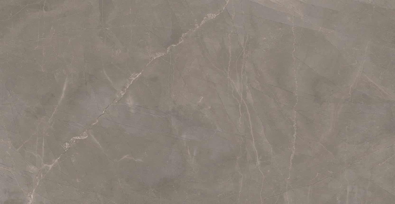 Luxury 24x48 Polished Porcelain Tile in Amani Grey – MILE®stone