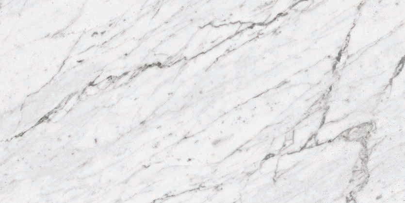 Marbles 12x24 Polished Porcelain Tile in Carrara White