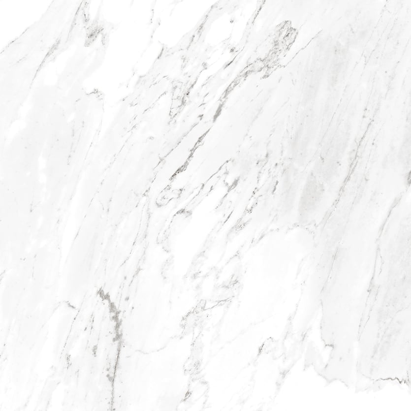 Marbles 24x24 Polished Porcelain Tile in Carrara White