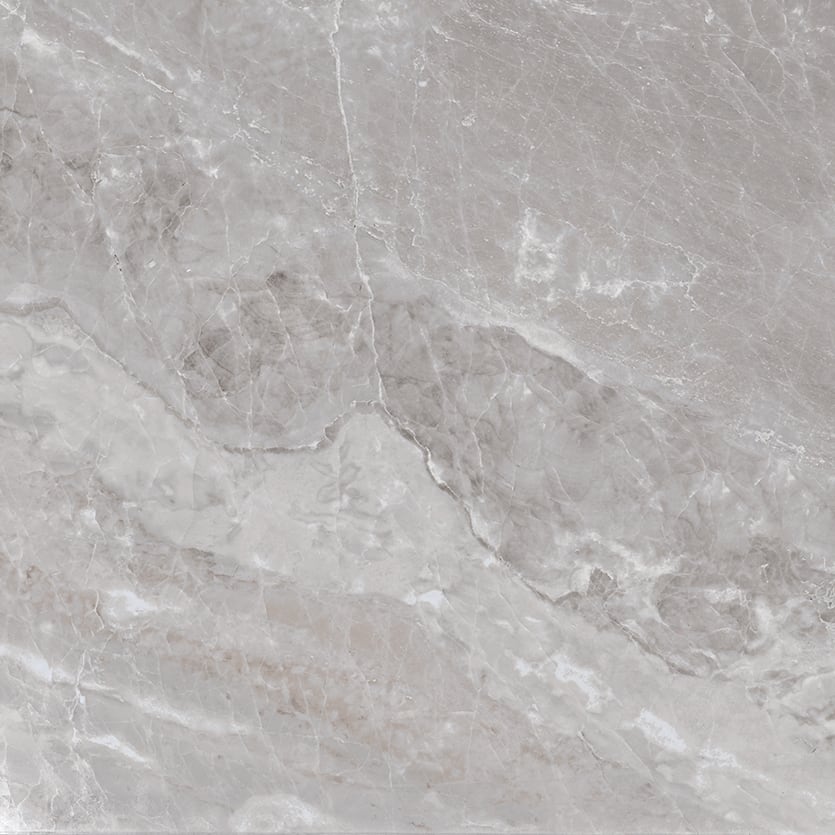 Marbles 24x24 Polished Porcelain Tile in Oniciata Grey