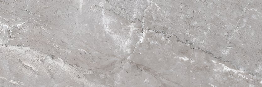 Marbles 8x24 Polished Porcelain Tile in Oniciata Grey