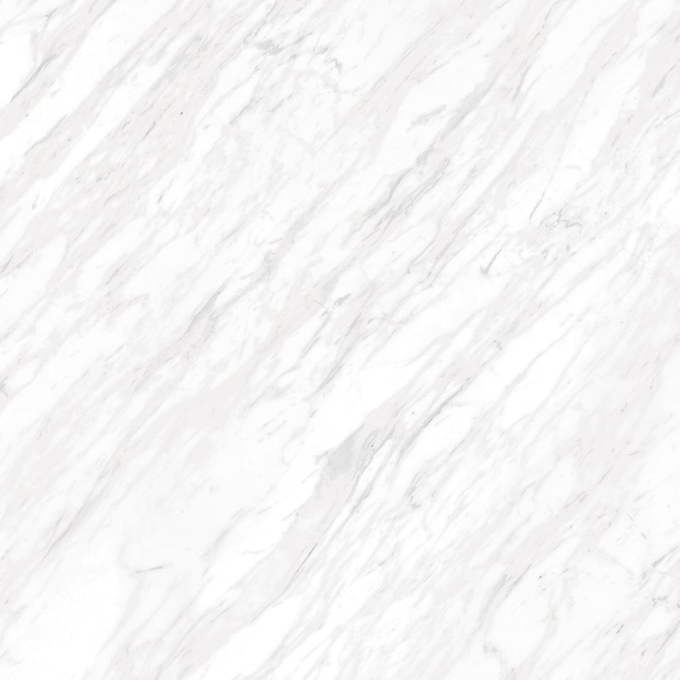 Marbles 24x24 Polished Porcelain Tile in Volakas Silk