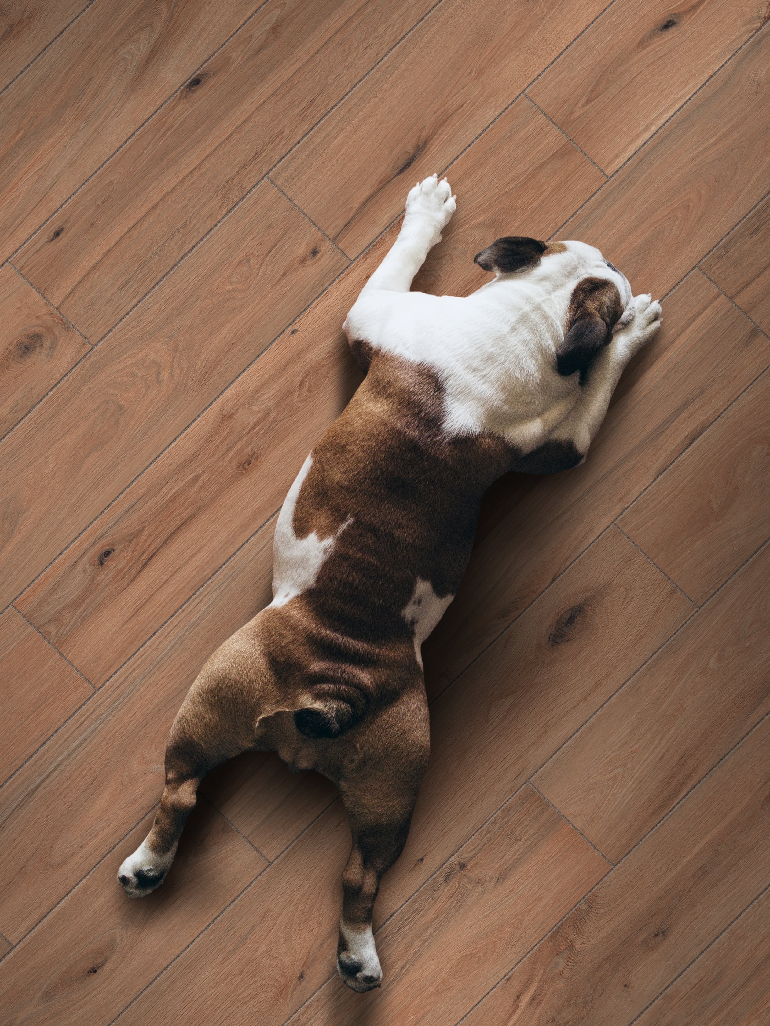 Native 8x48 Matte Porcelain Tile in Chestnut – MILE®stone