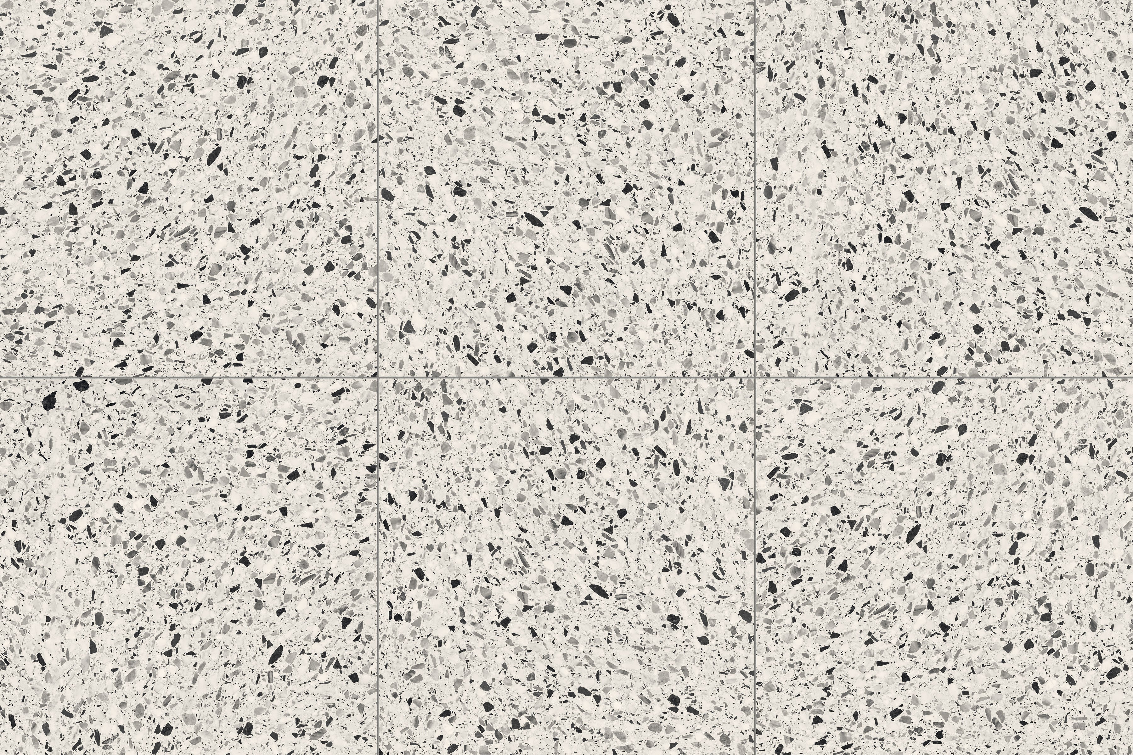 Terrazzo Allure™ 24x24 Matte Porcelain Tile in Dalmatian