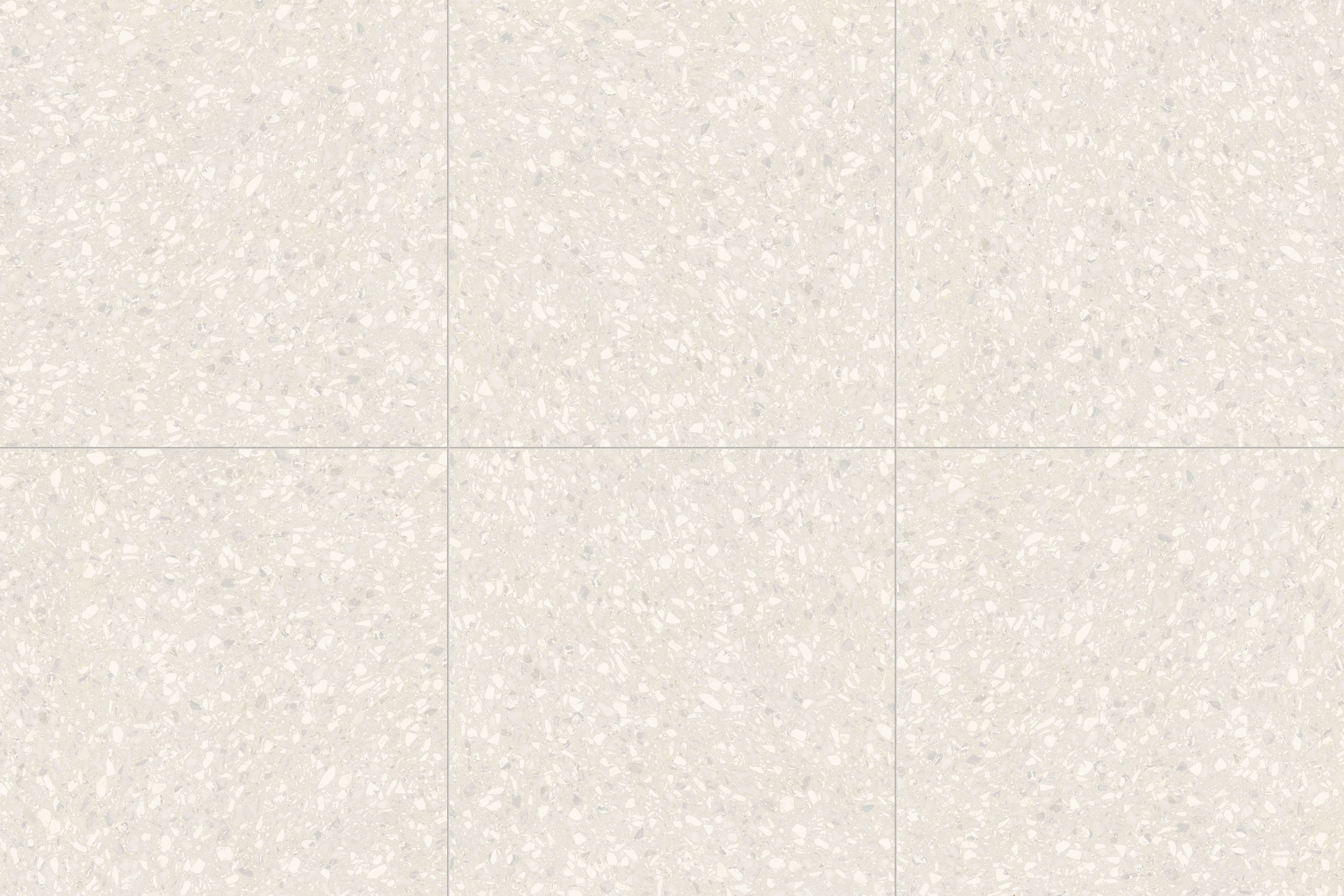 Terrazzo Allure™ 24x24 Matte Porcelain Tile in Eggshell