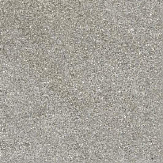 Tycoon 24x24 Matte Porcelain Tile in Storm Grey (Online Only)