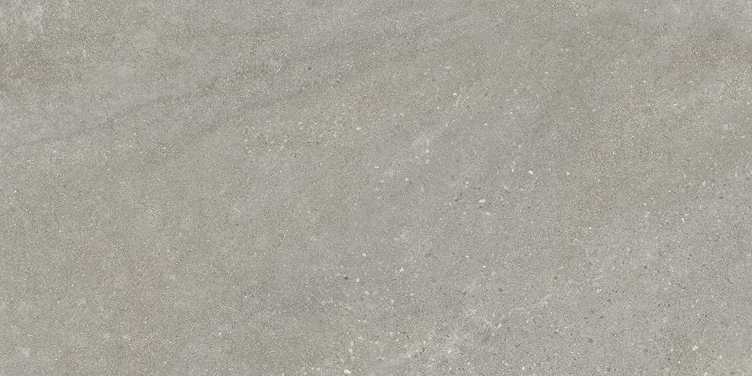 Tycoon 16x32 Matte Porcelain Tile in Storm Grey
