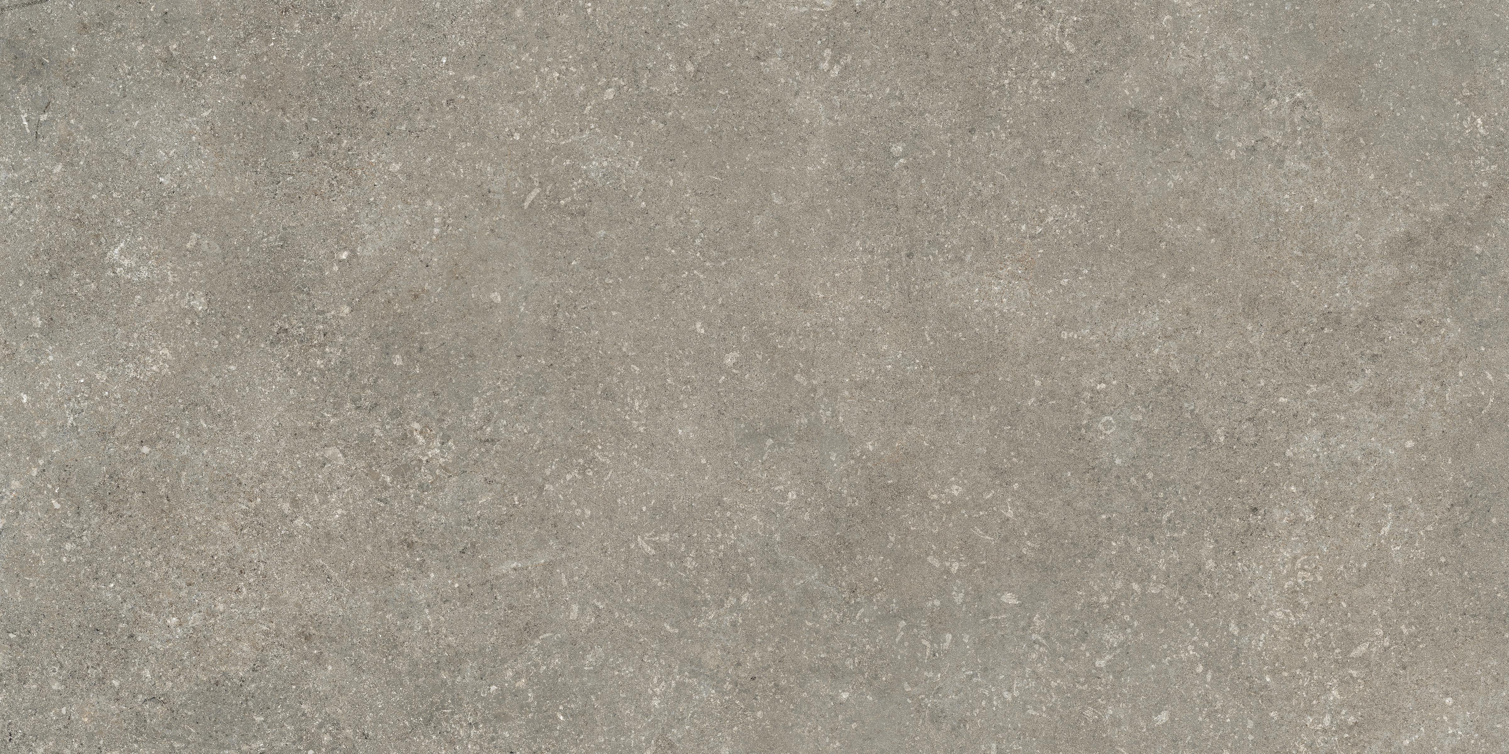 Untamed 12x24 Matte Porcelain Tile in Wander Ash
