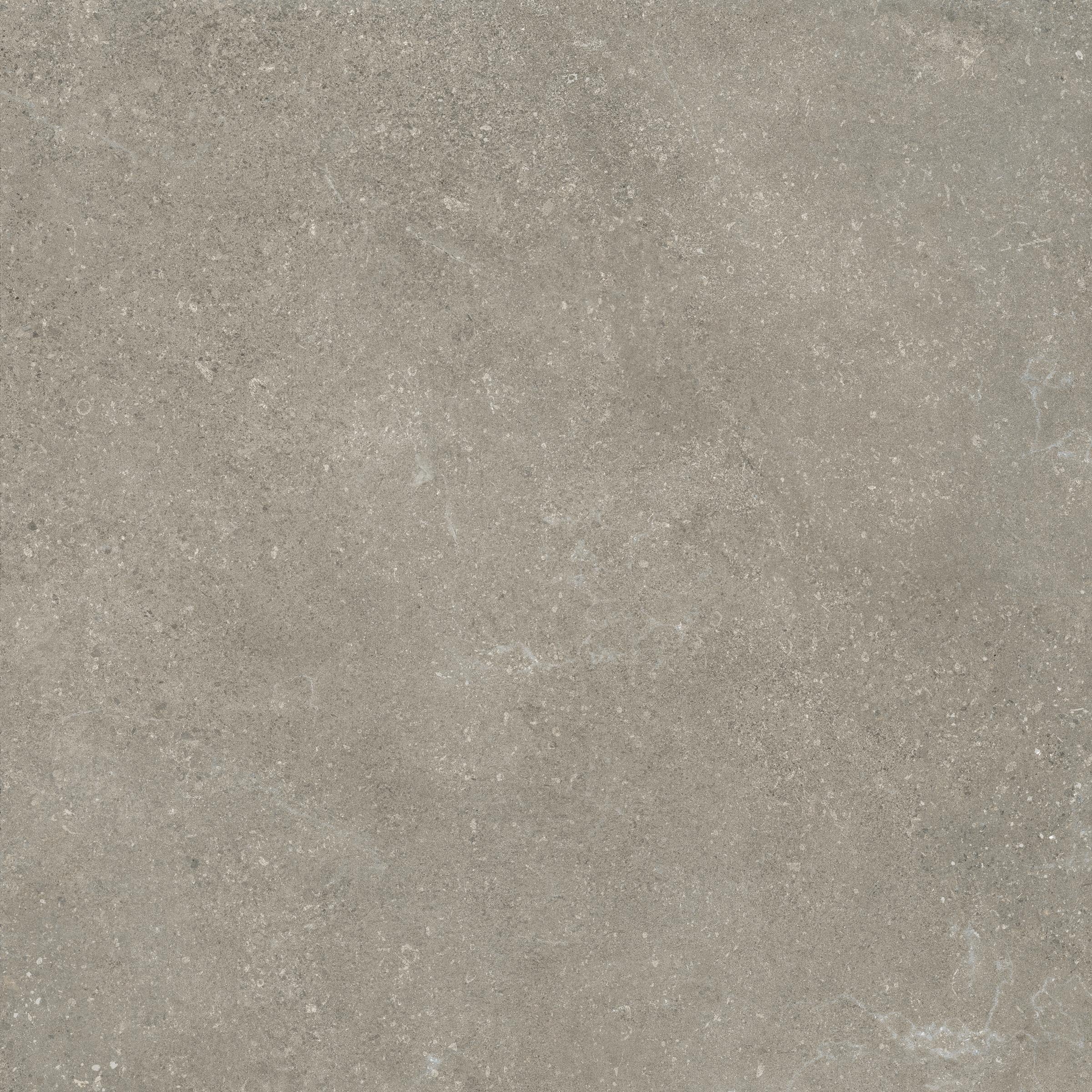 Untamed 24x24 Grip Porcelain 2CM Paver in Wander Ash
