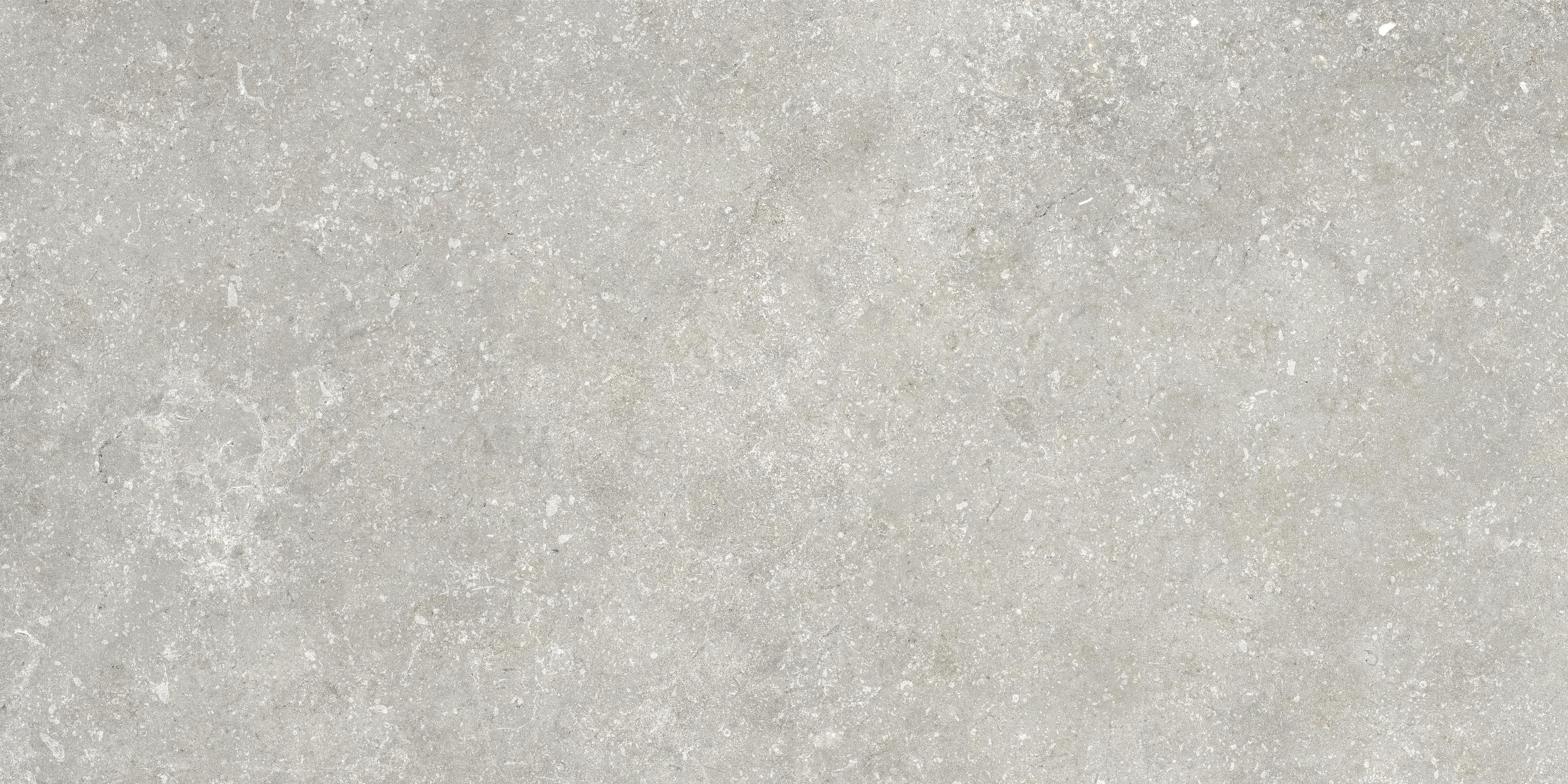 Untamed 12x24 Matte Porcelain Tile in Wander Cool
