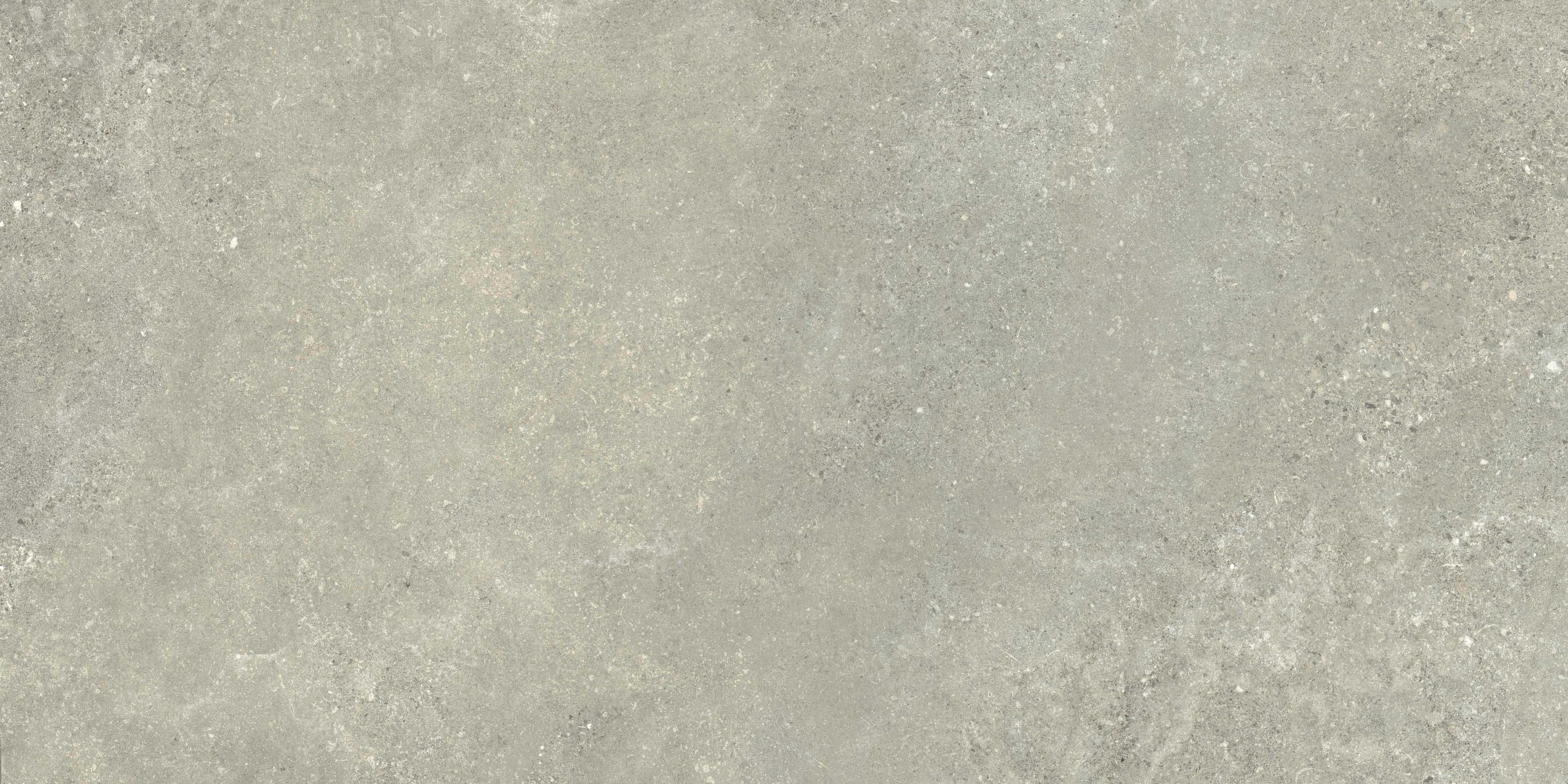 Untamed 24x48 Matte Porcelain Tile in Wander Sage