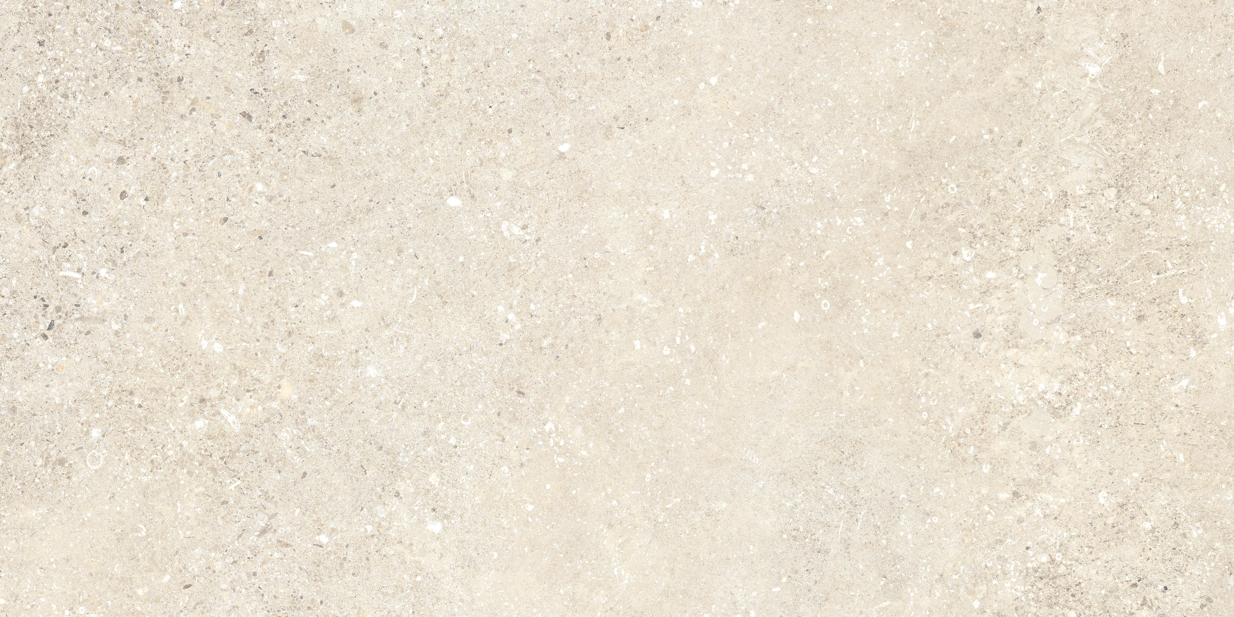 Untamed 12x24 Matte Porcelain Tile in Wander Warm
