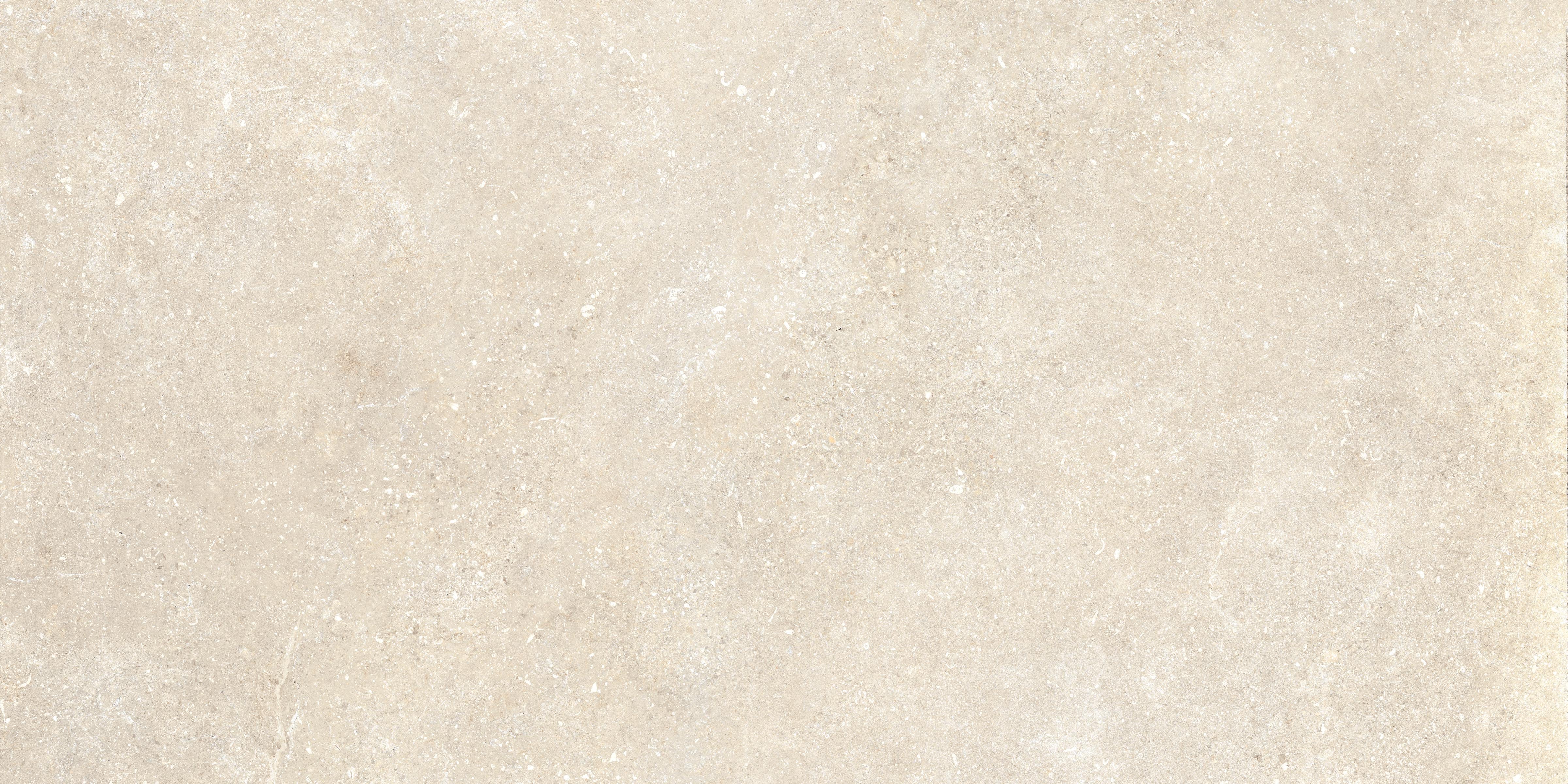 Untamed 24x48 Matte Porcelain Tile in Wander Warm