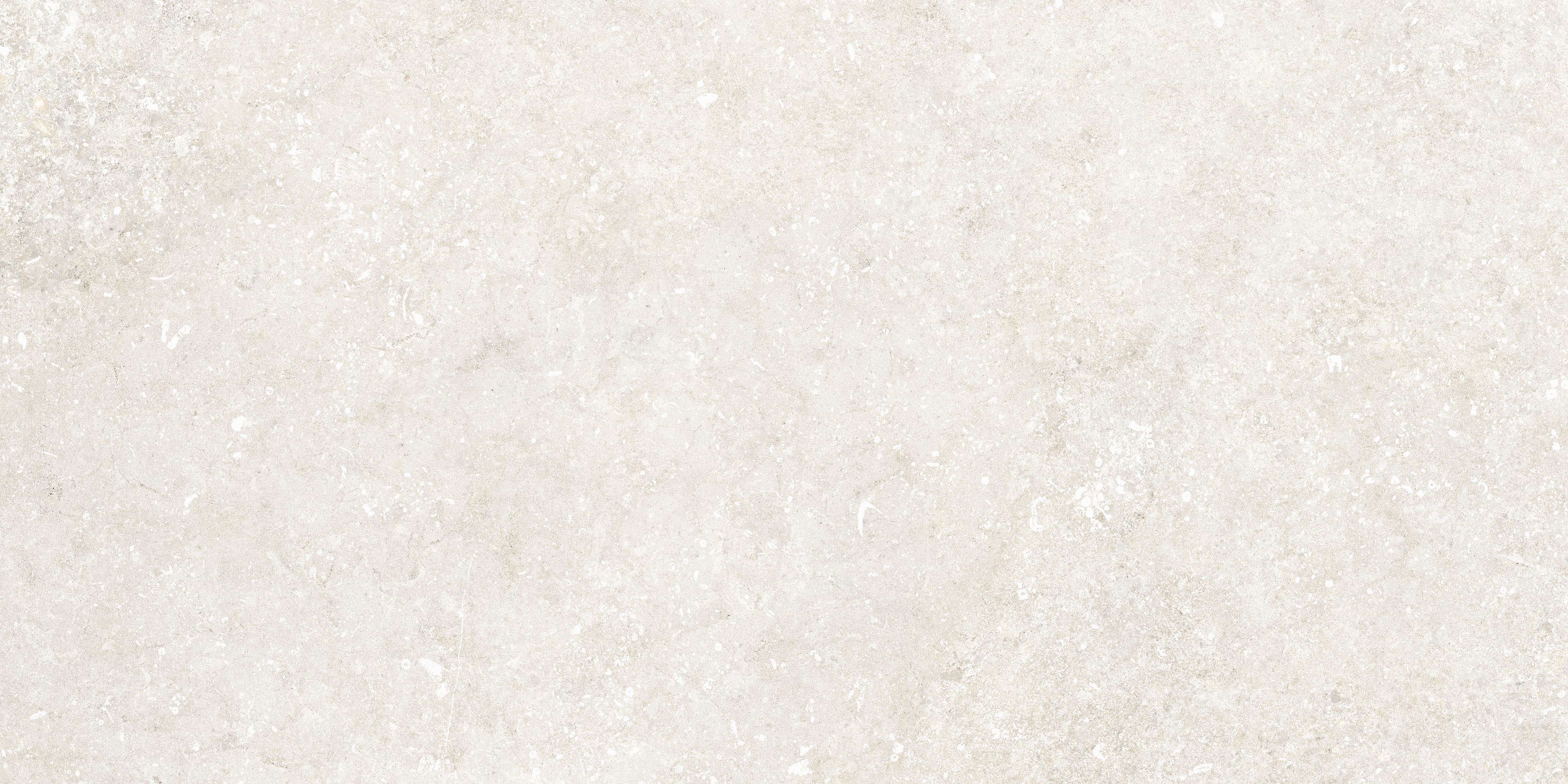 Untamed 12x24 Matte Porcelain Tile in Wander White