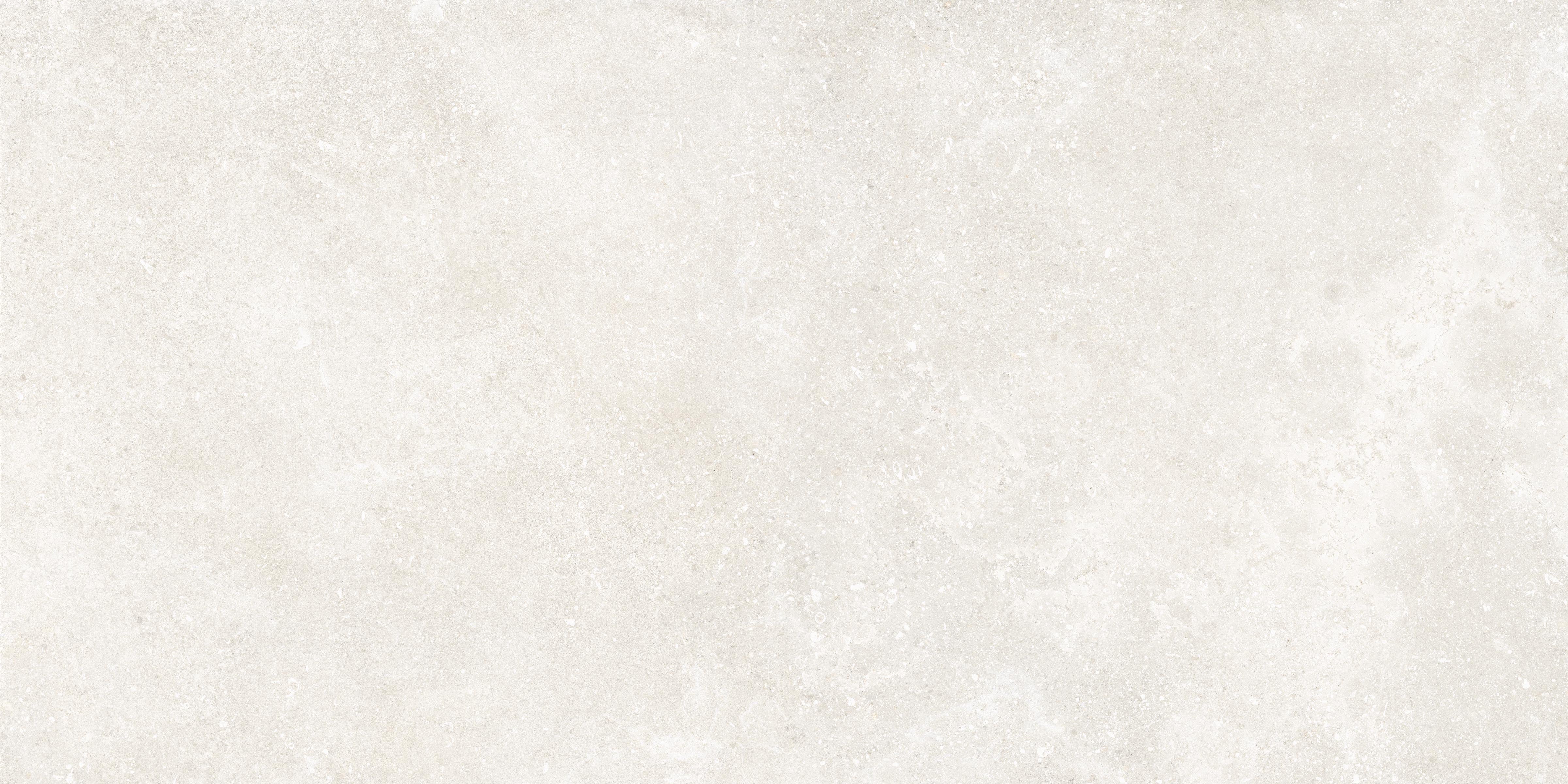 Untamed 24x48 Matte Porcelain Tile in Wander White