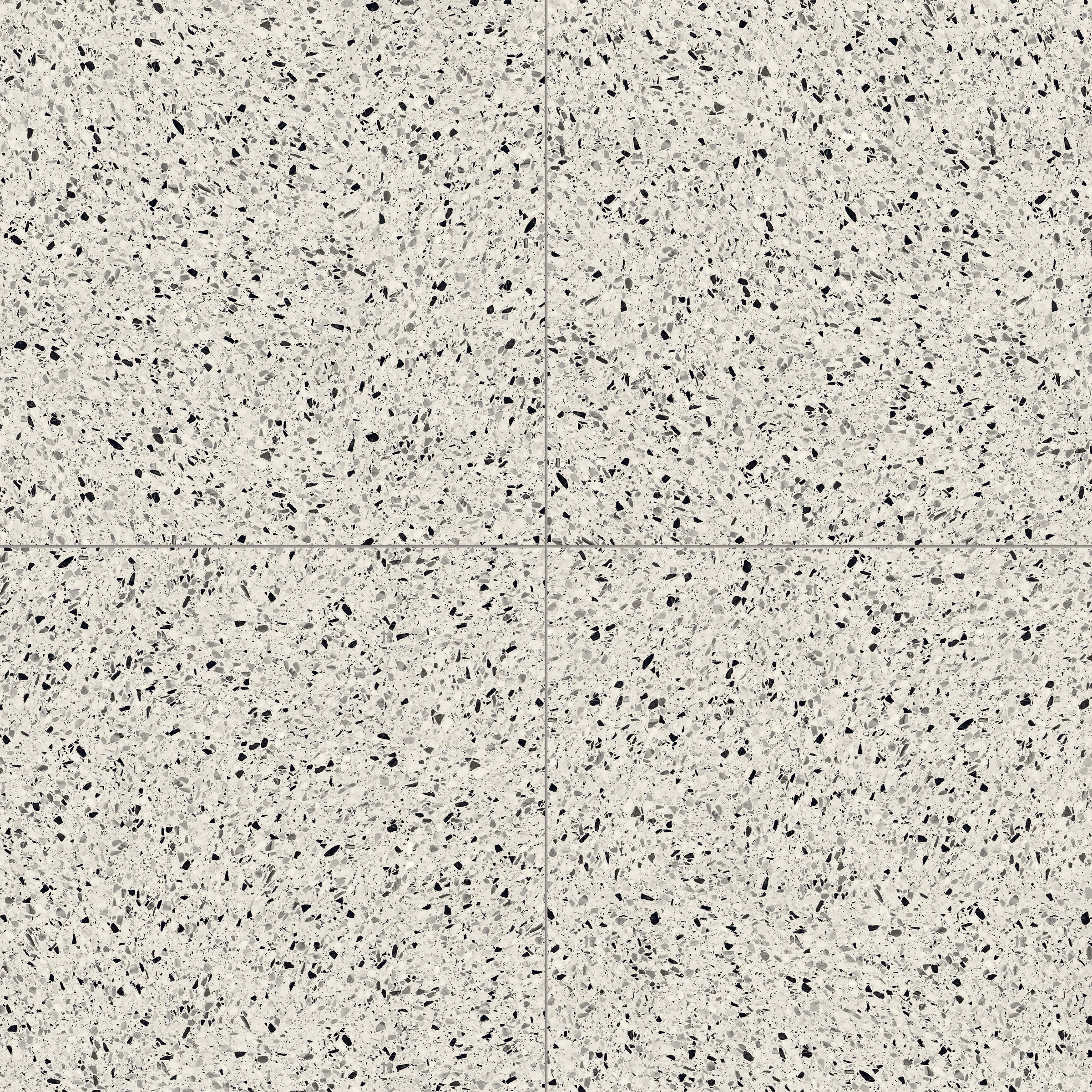 Terrazzo Allure™ 48x48 Matte Porcelain Tile in Dalmatian