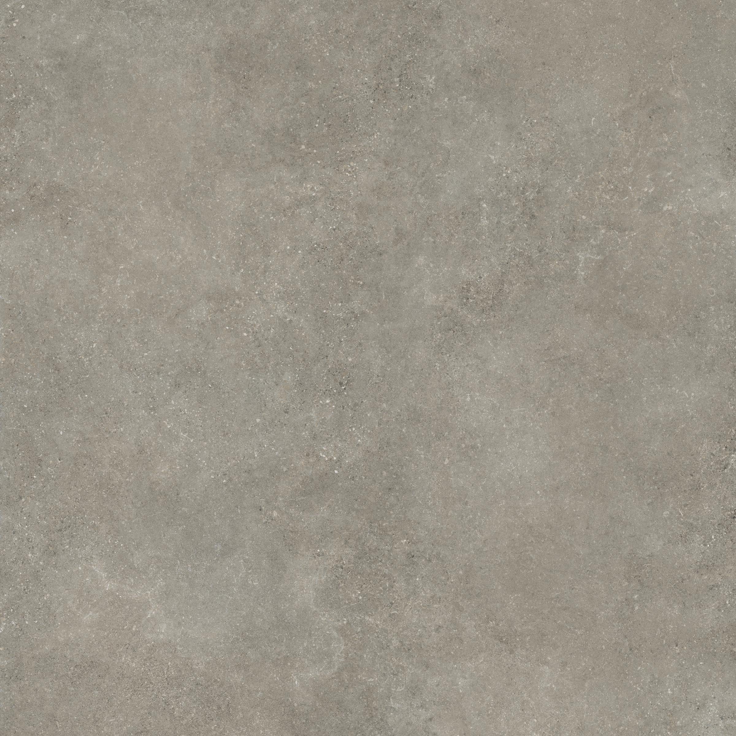Untamed 48x48 Matte Porcelain Tile in Wander Ash