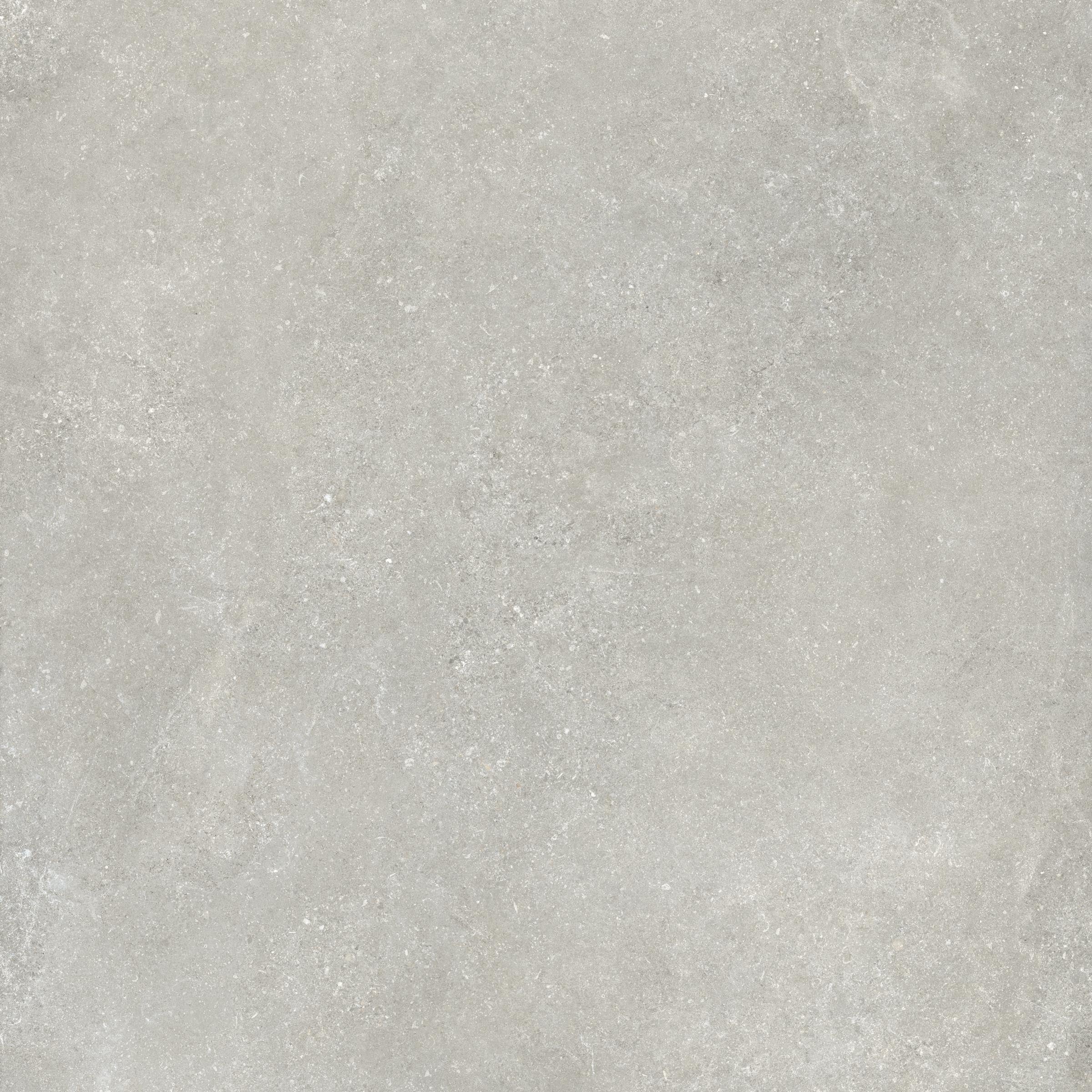 Untamed 48x48 Matte Porcelain Tile in Wander Cool