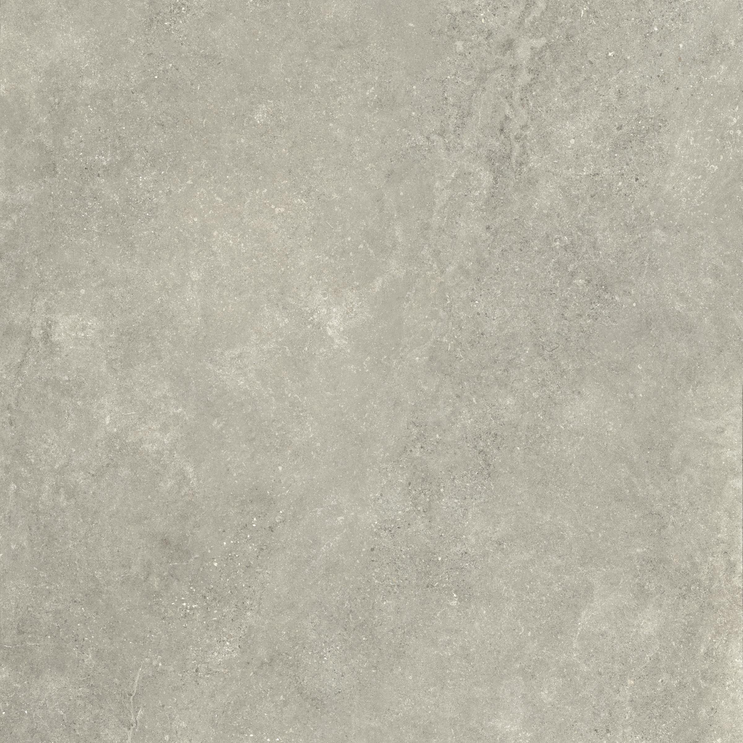 Untamed 48x48 Matte Porcelain Tile in Wander Sage