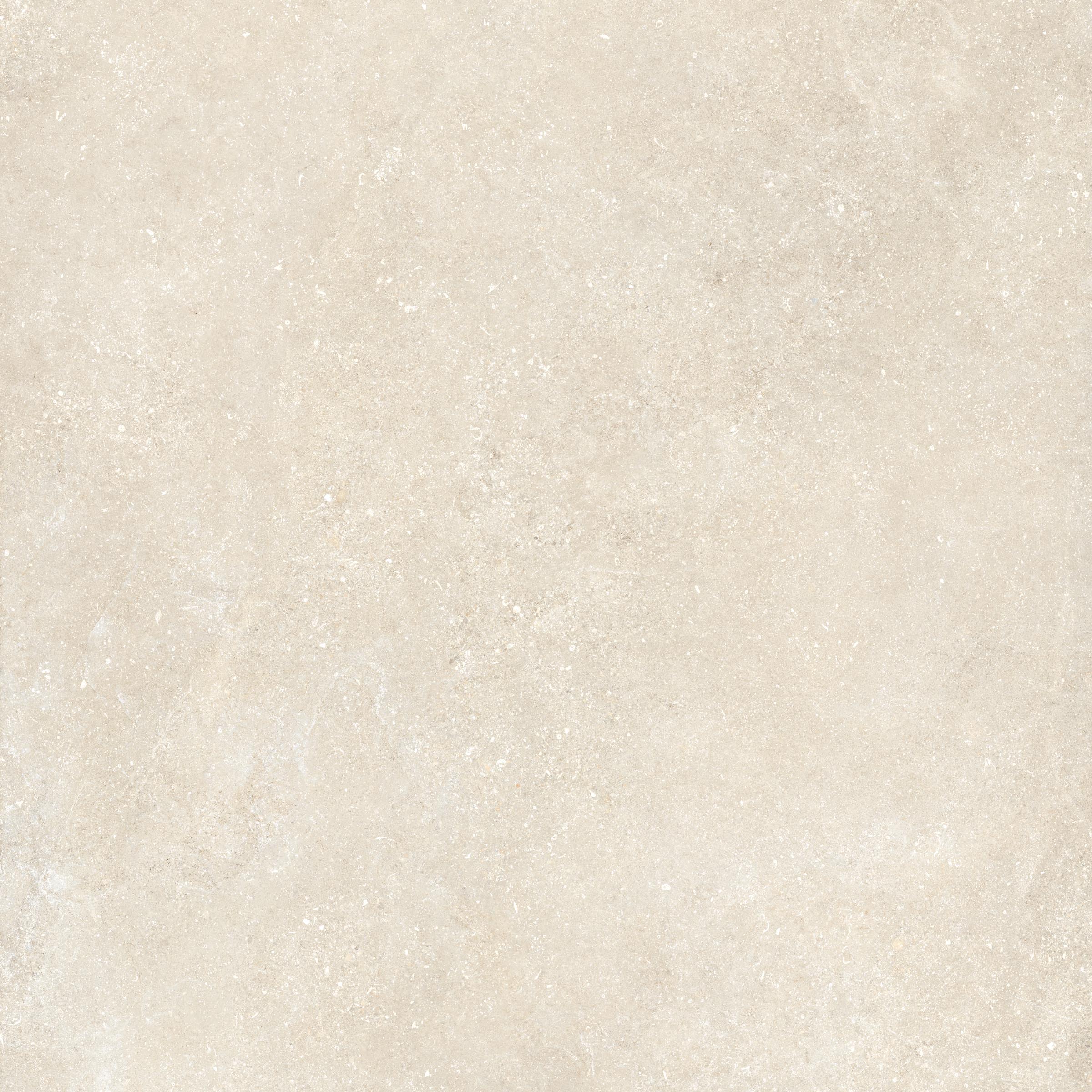 Untamed 48x48 Matte Porcelain Tile in Wander Warm
