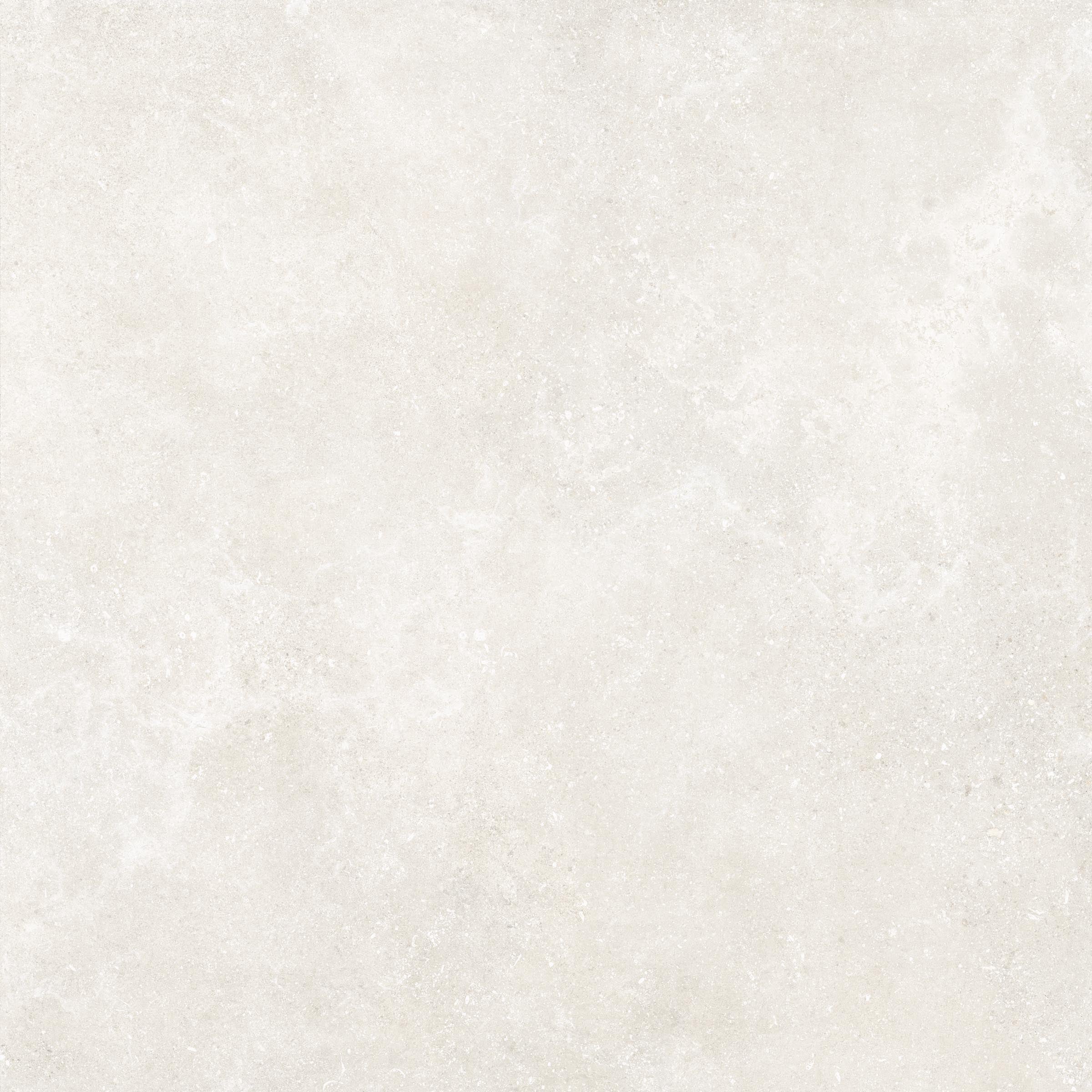Untamed 48x48 Matte Porcelain Tile in Wander White