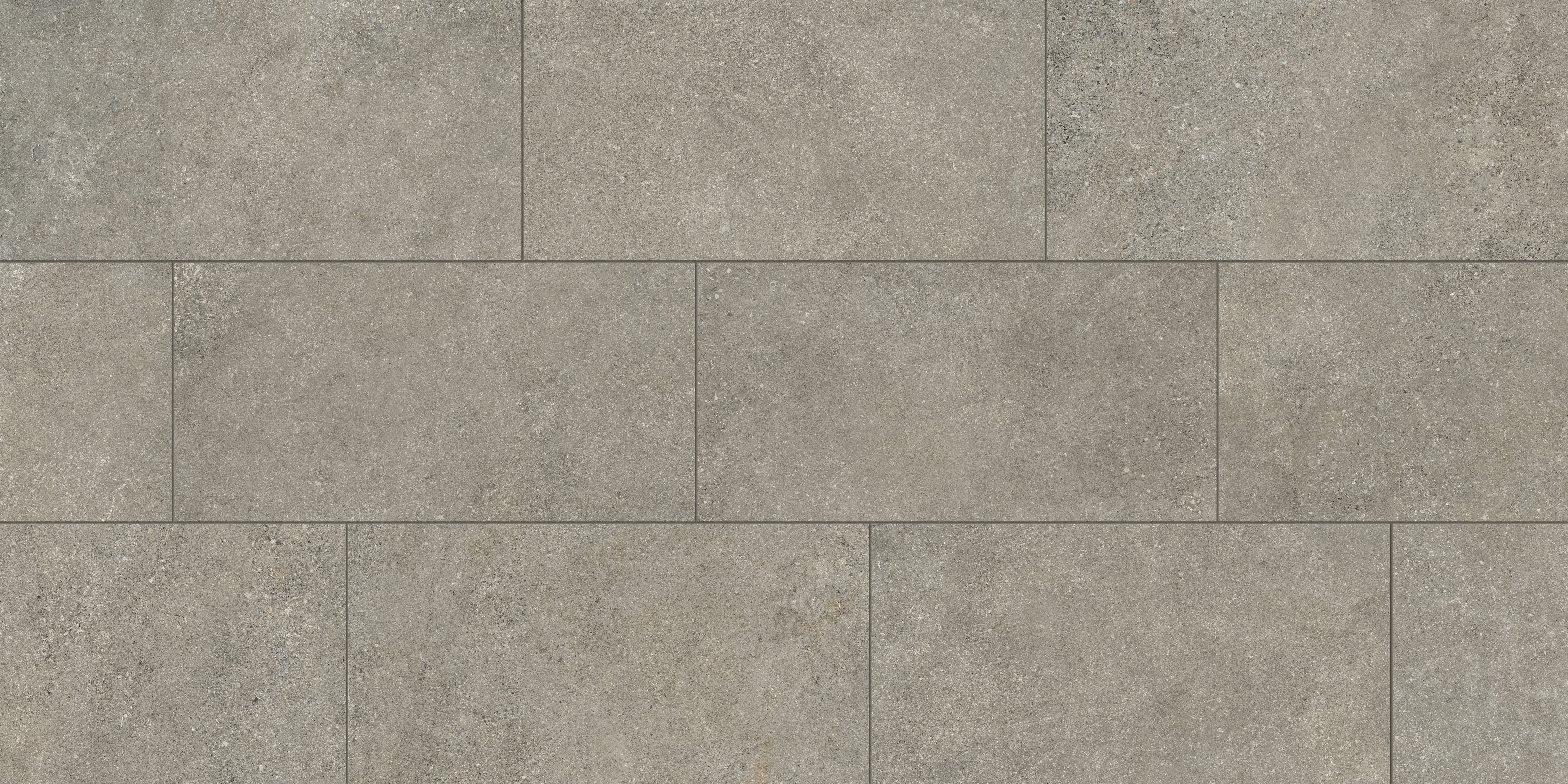 Untamed 12x24 Matte Porcelain Tile in Wander Ash