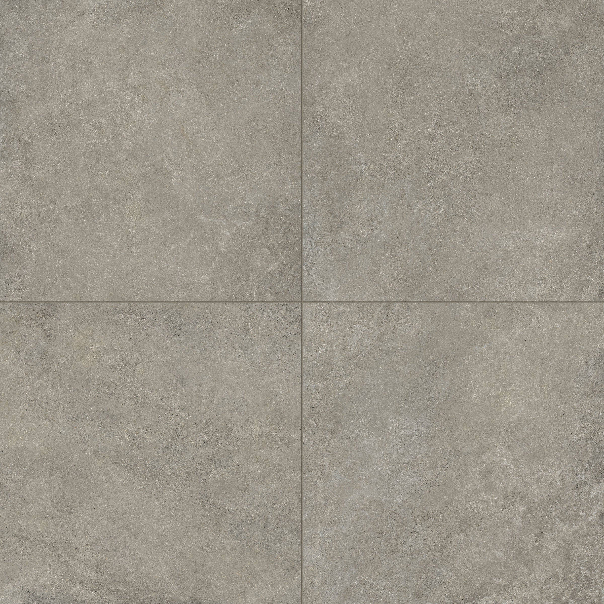 Untamed 48x48 Matte Porcelain Tile in Wander Ash