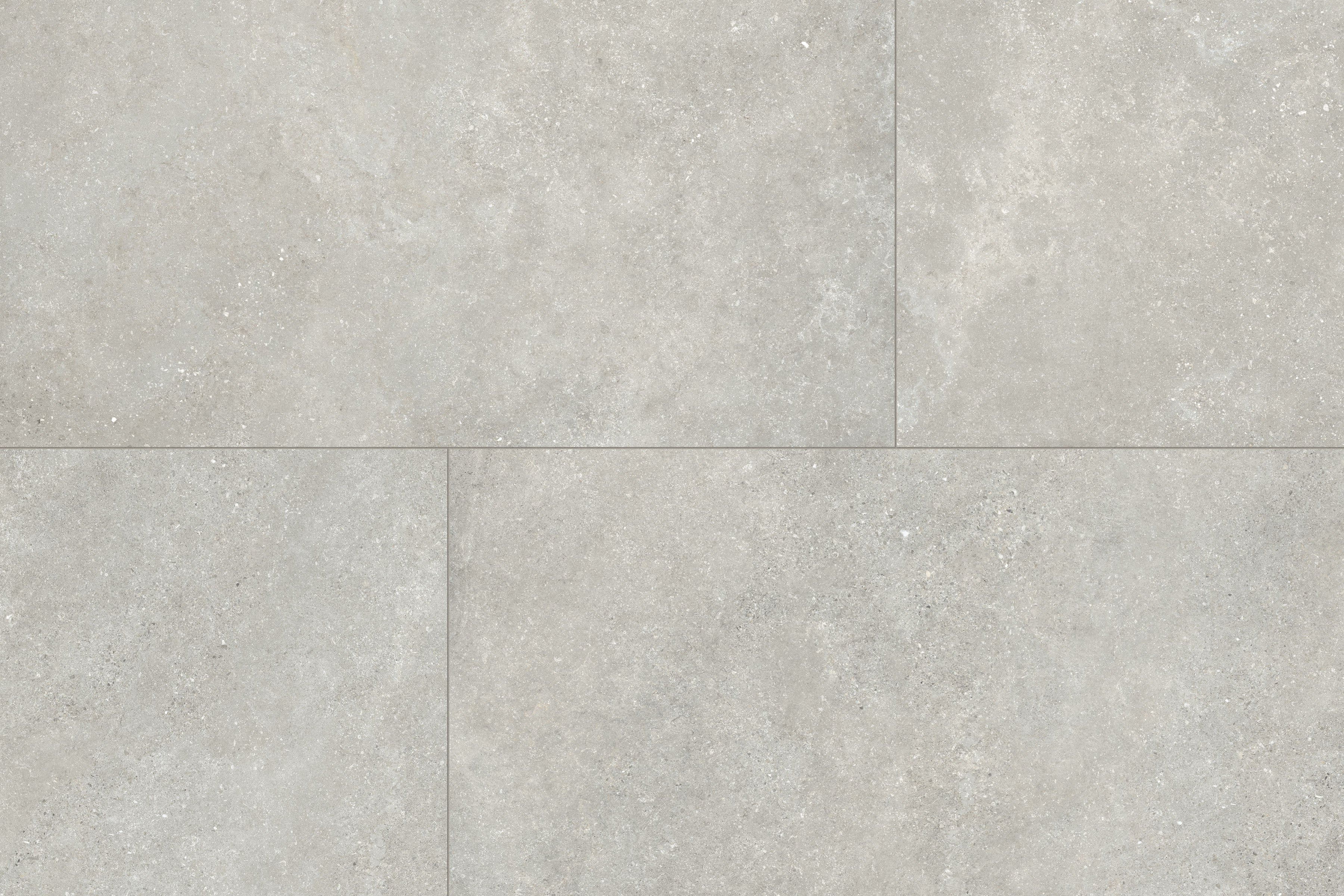 Untamed 24x48 Matte Porcelain Tile in Wander Cool