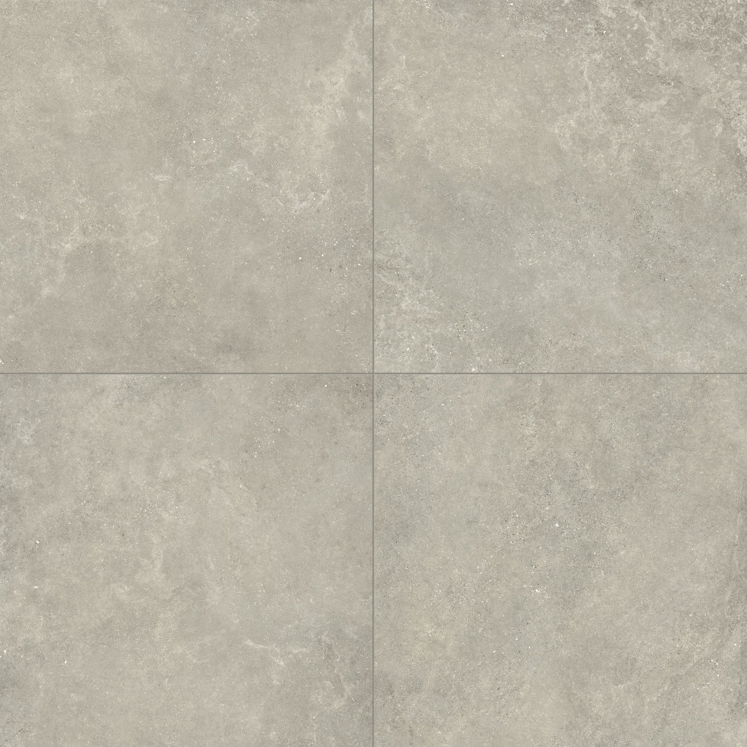 Untamed 48x48 Matte Porcelain Tile in Wander Sage