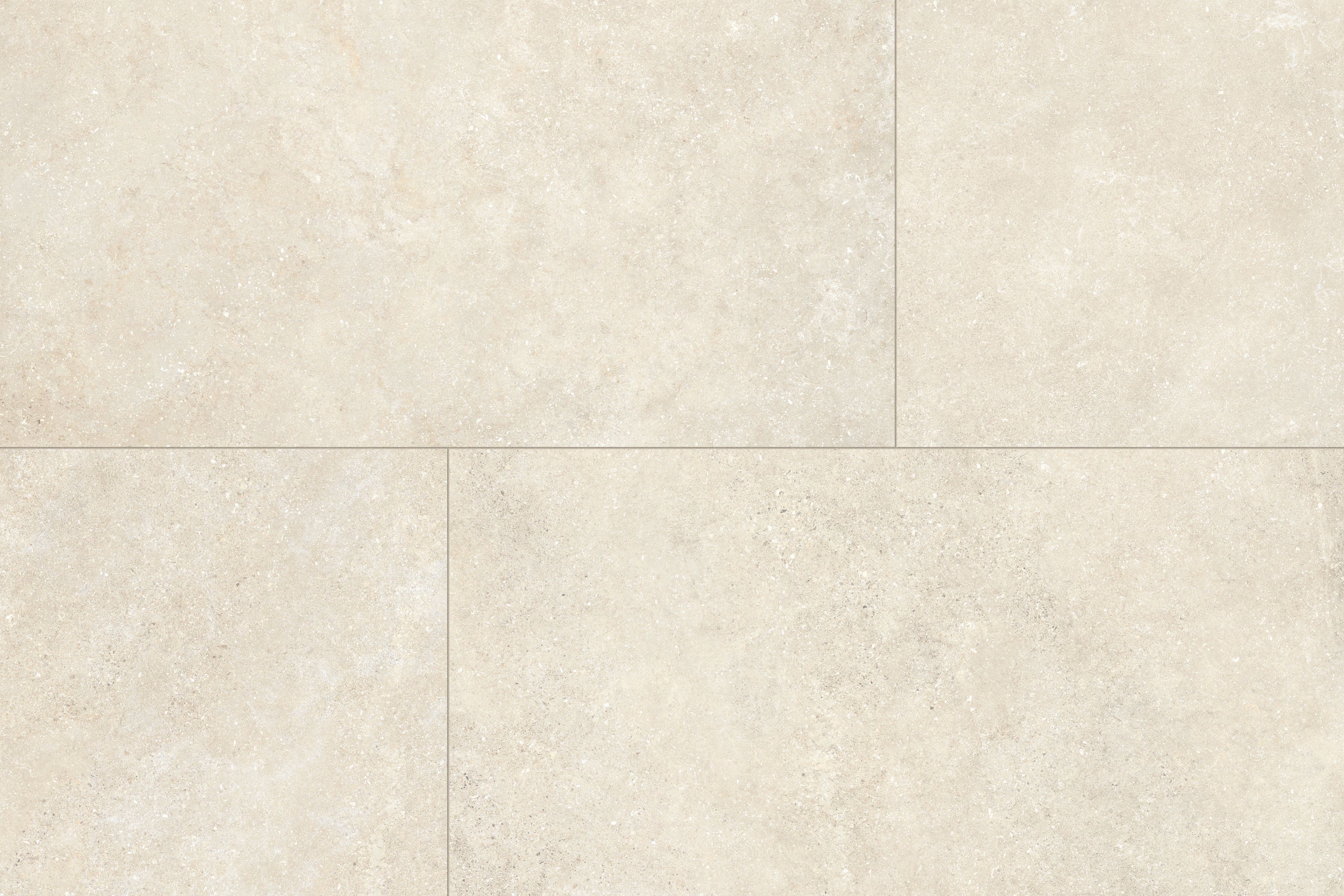 Untamed 24x48 Matte Porcelain Tile in Wander Warm