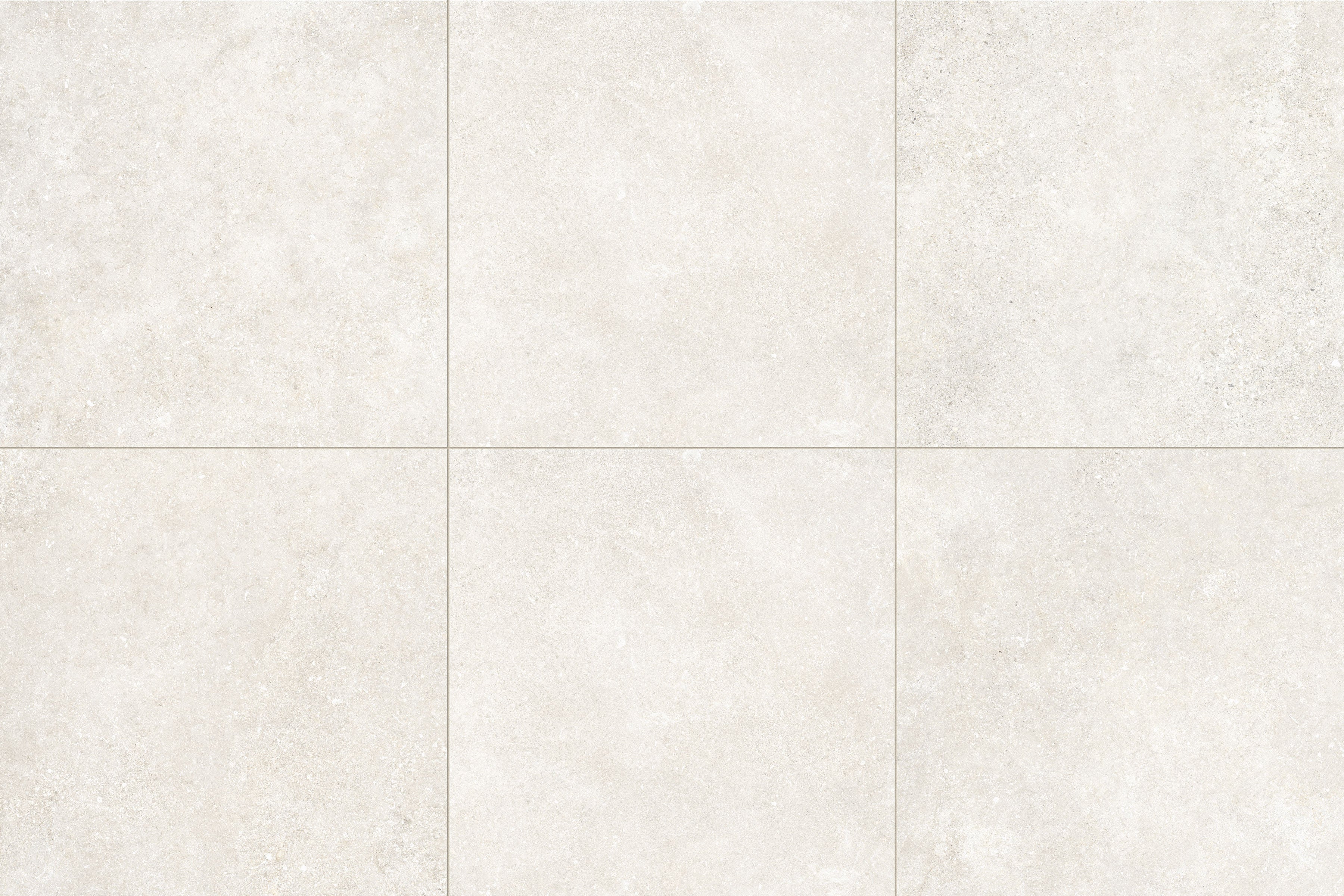 Untamed 24x24 Grip Porcelain 2CM Paver in Wander White